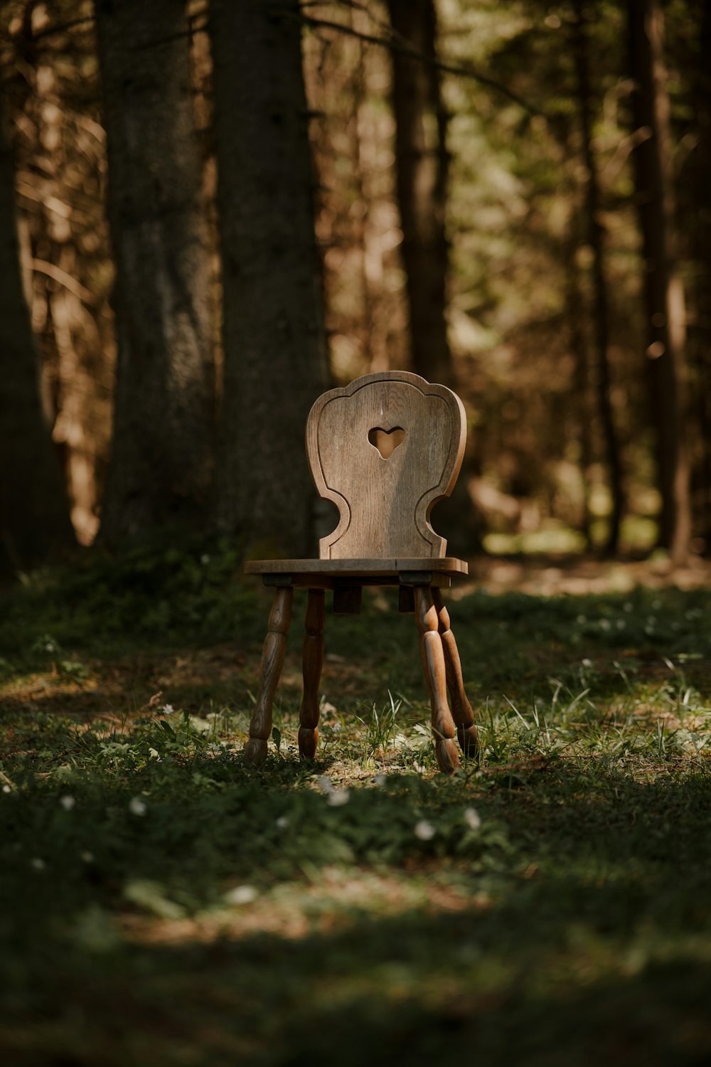 a wooden chair sitting in the middle of a forest