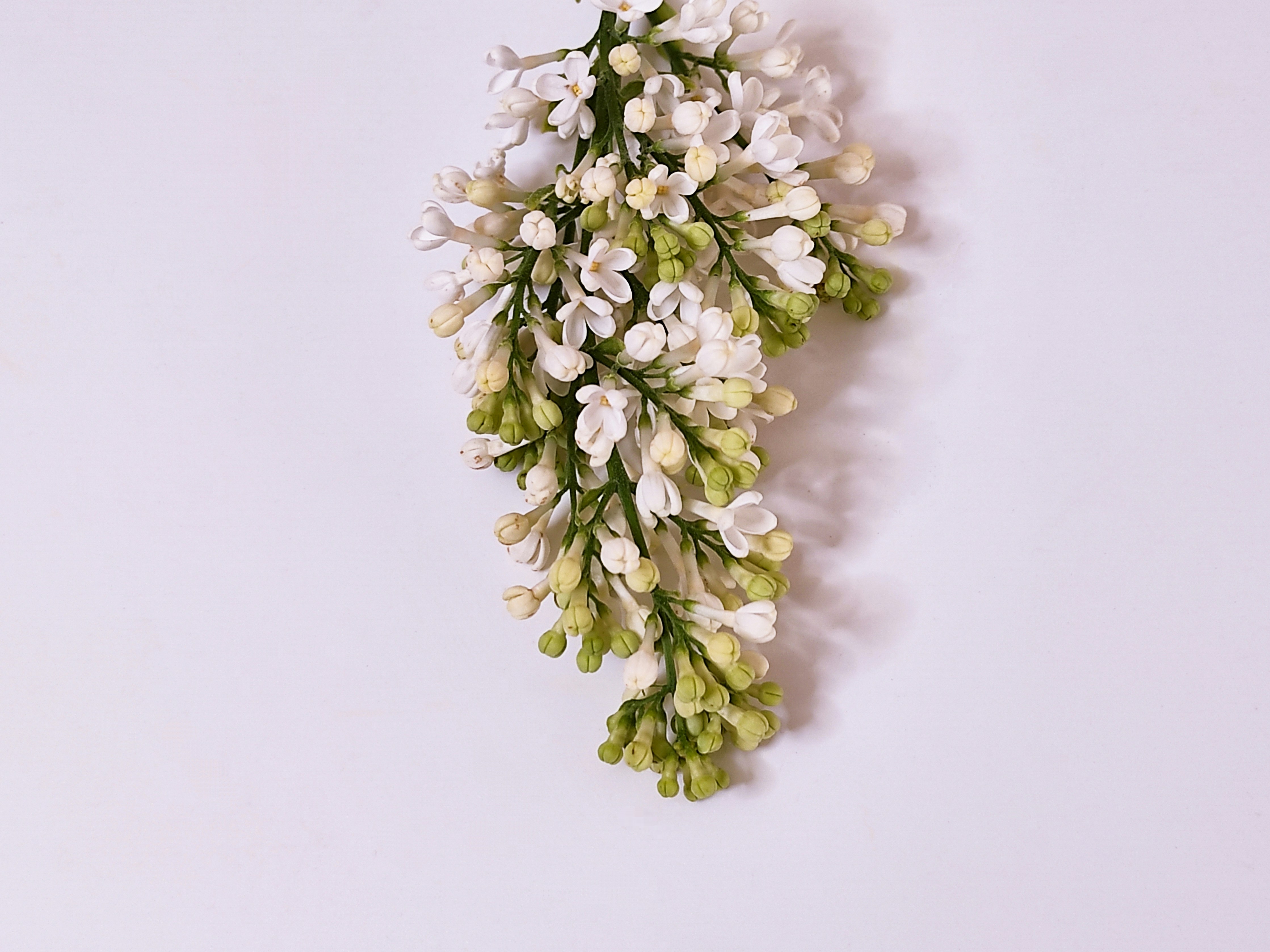 Photo by daniela_e_photography