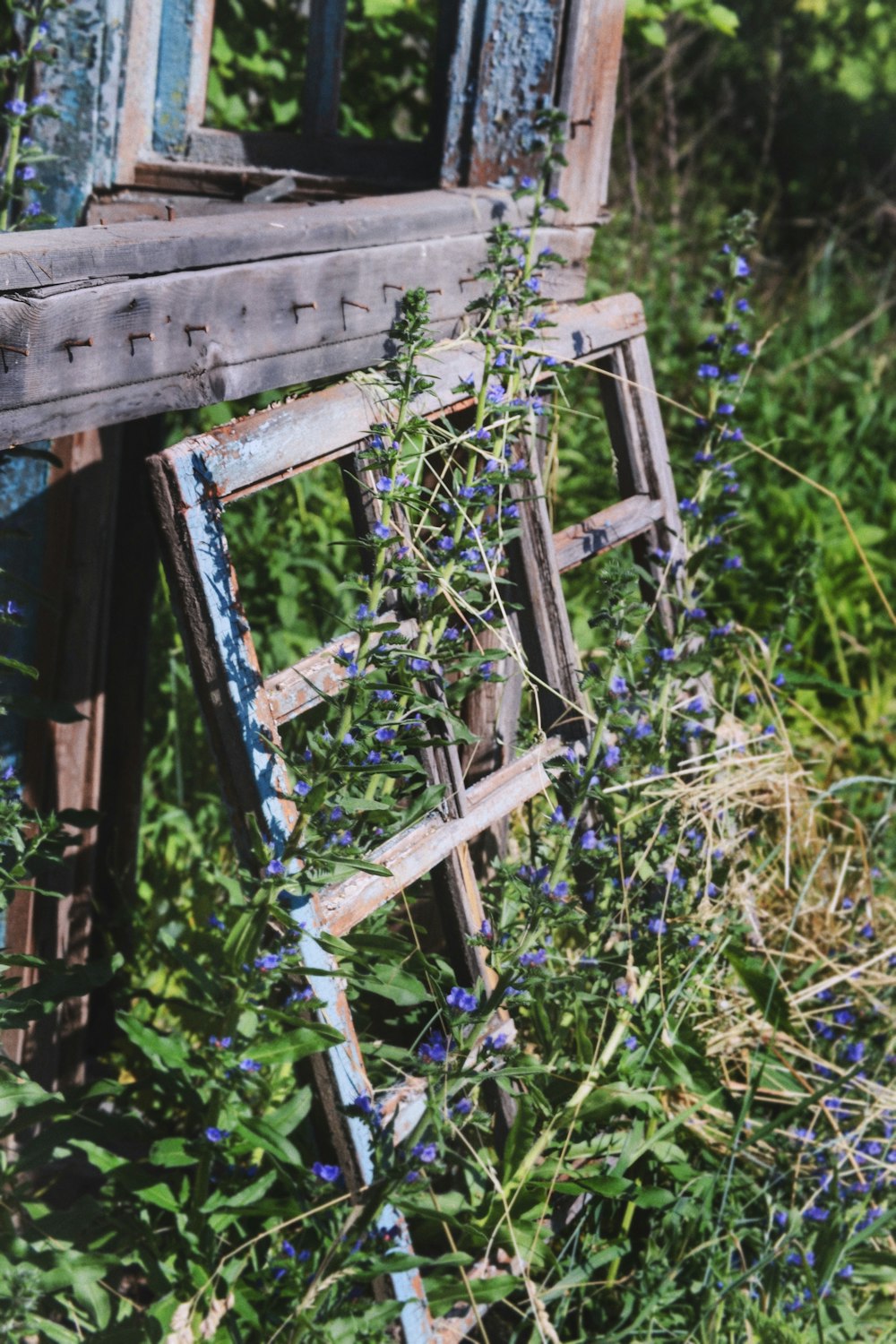 an old run down ladder in a field of wildflowers