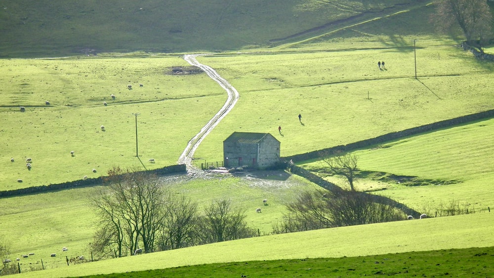 a small house in a green field with a road going through it