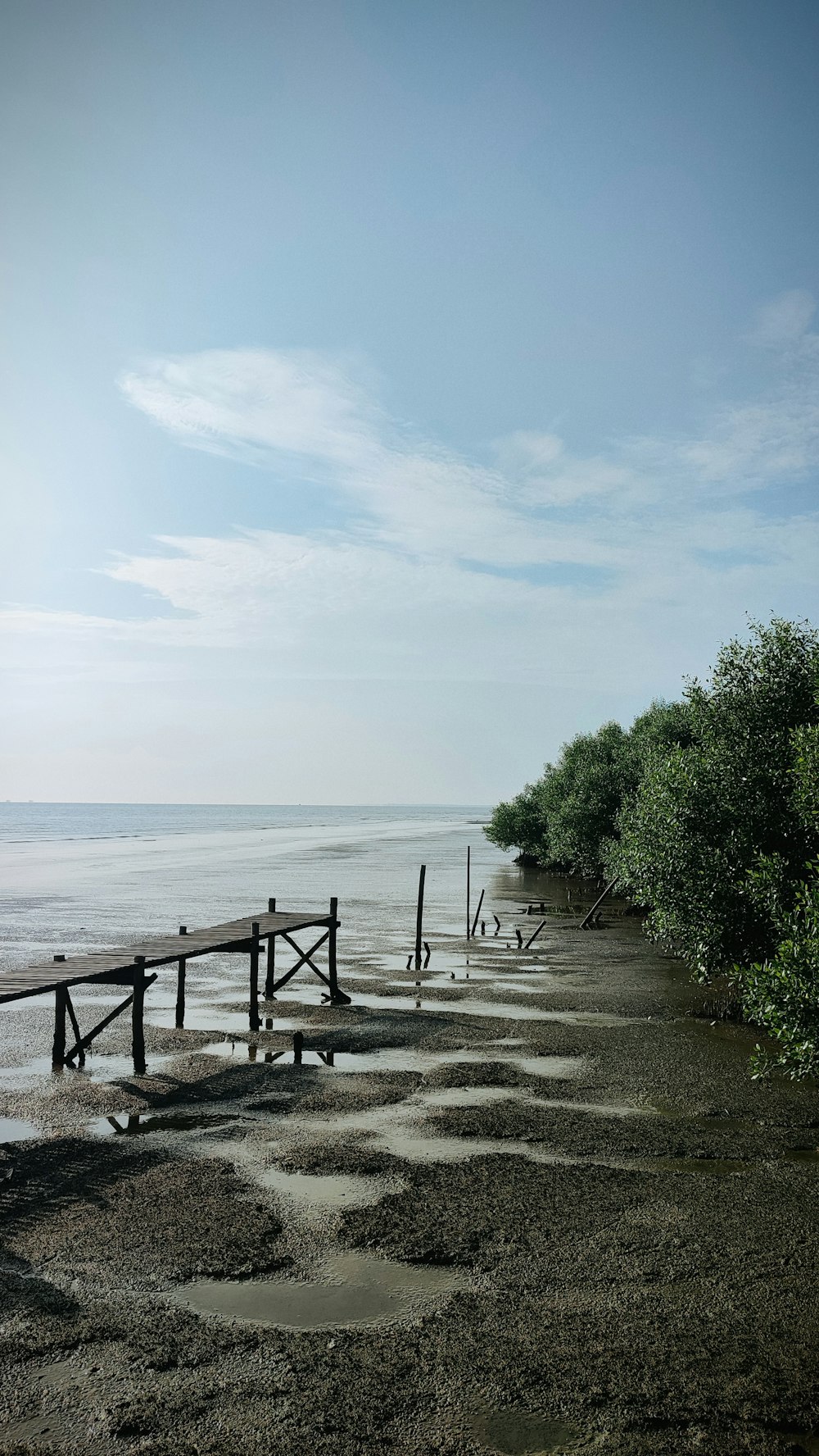 a wooden dock sitting on top of a sandy beach