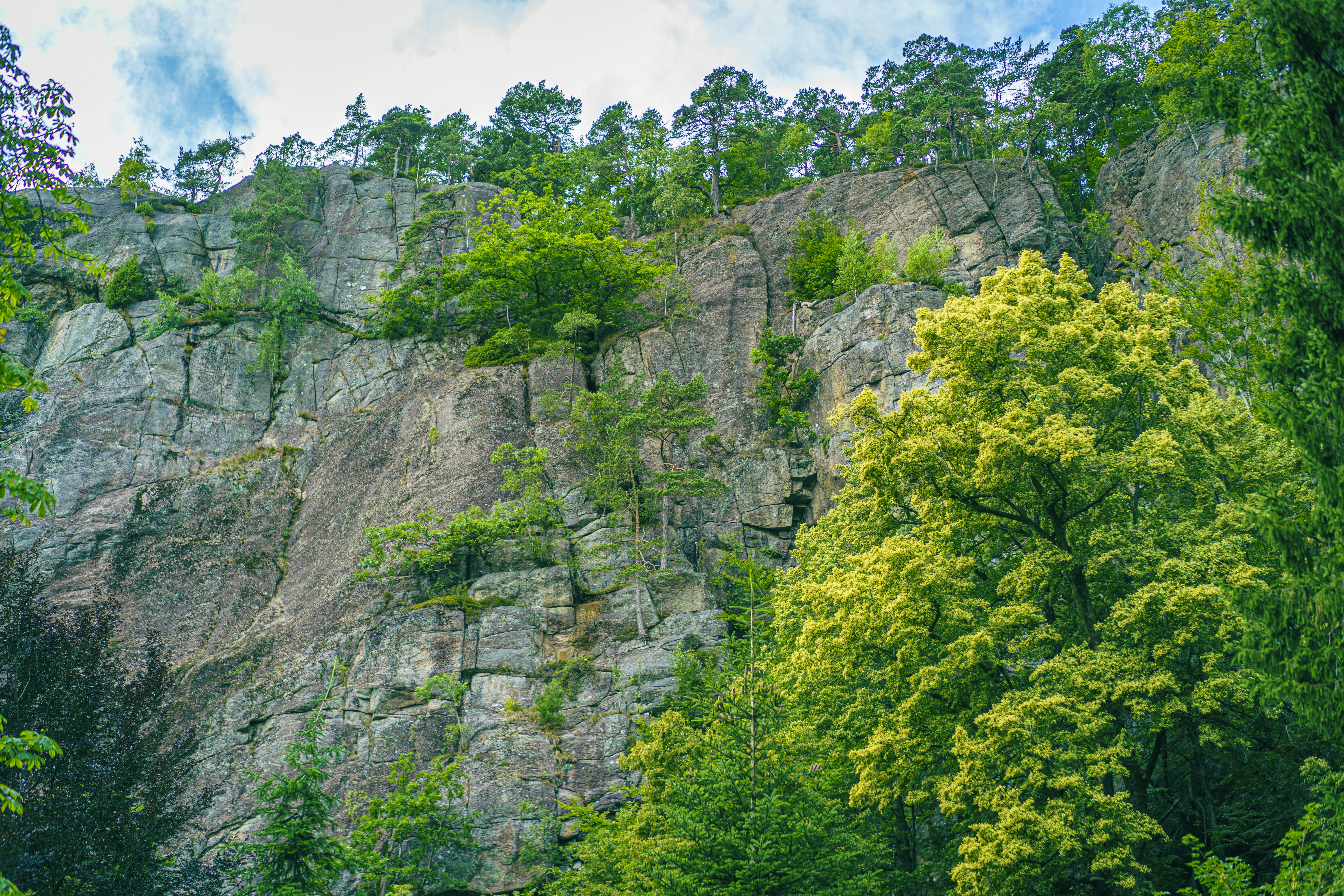 Photo by nordixstudio