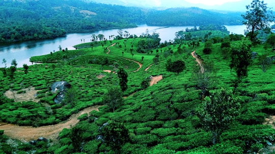 a lush green hillside with a river running through it