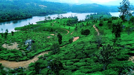 a lush green hillside with a river running through it