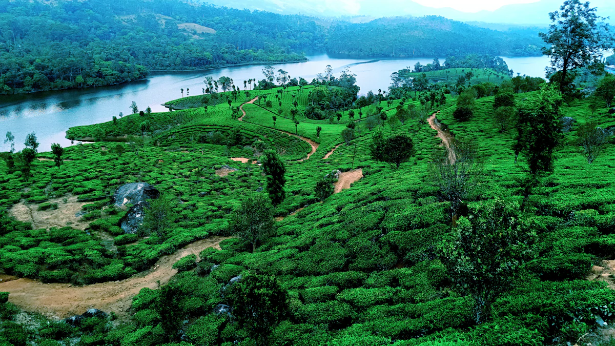 Agasthyakoodam