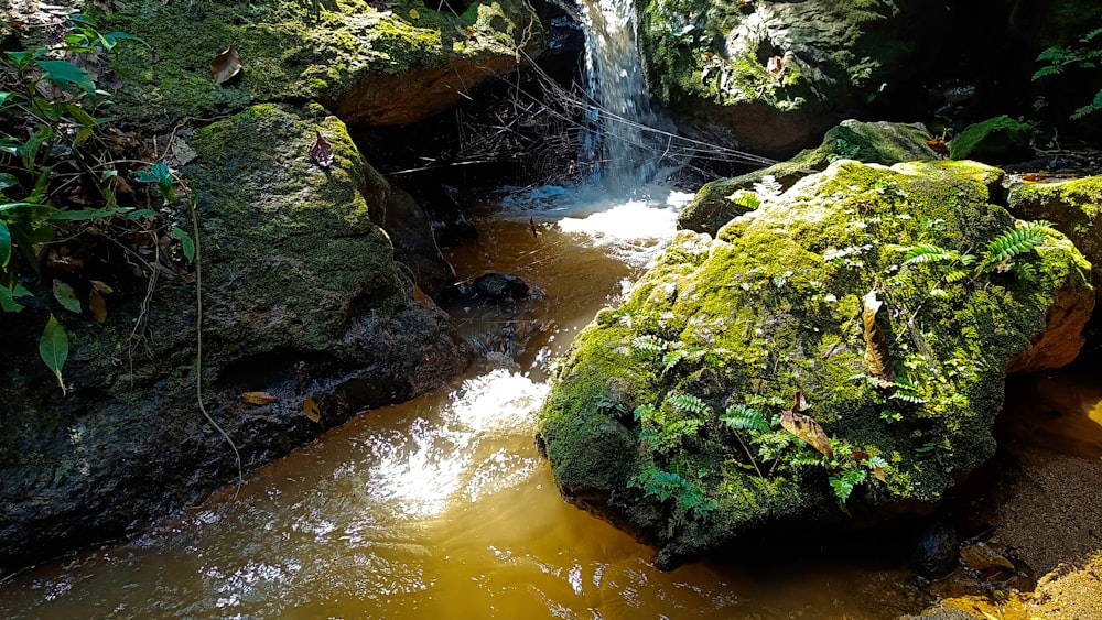 a small waterfall in the middle of a forest