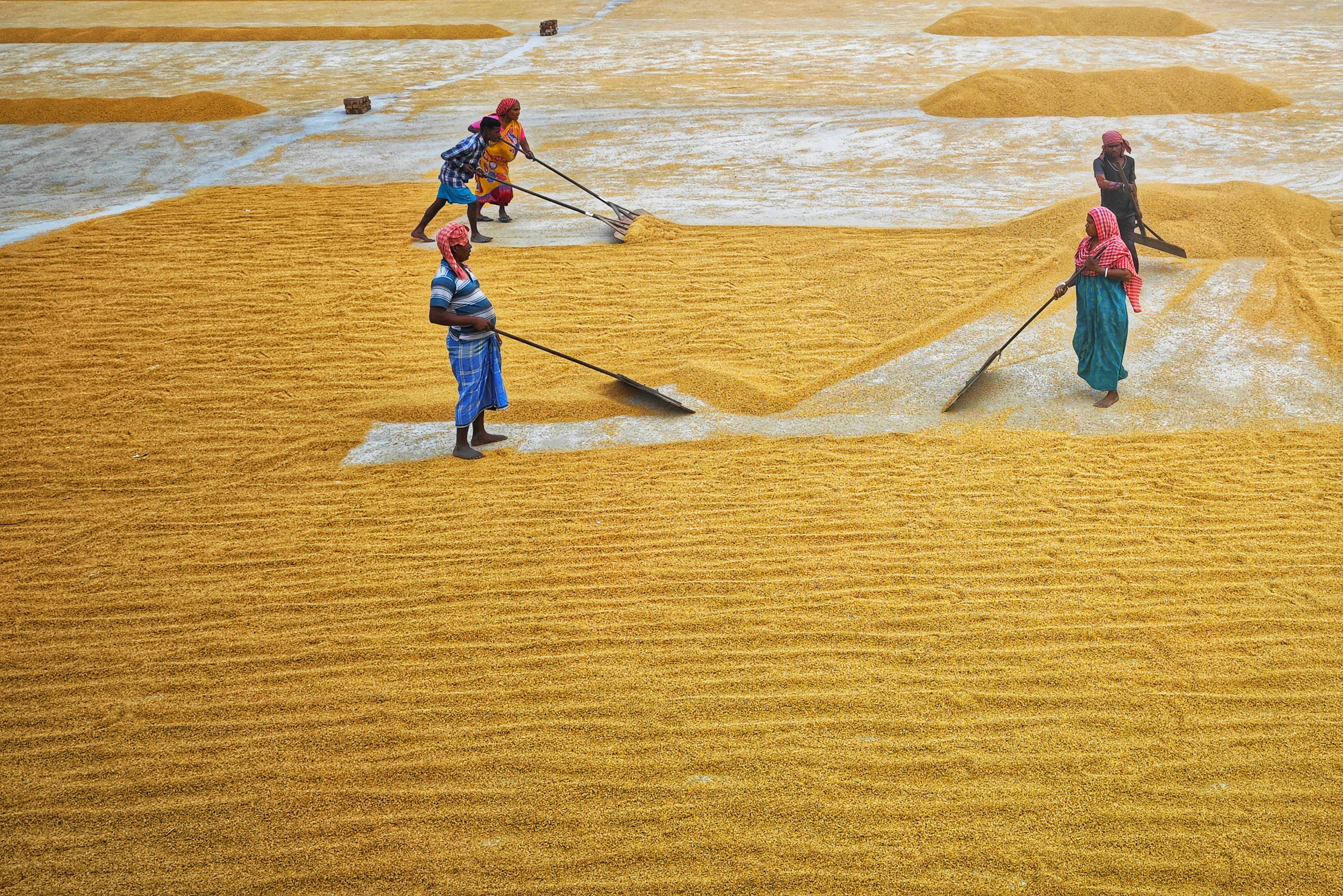 Photo by dibakar16roy