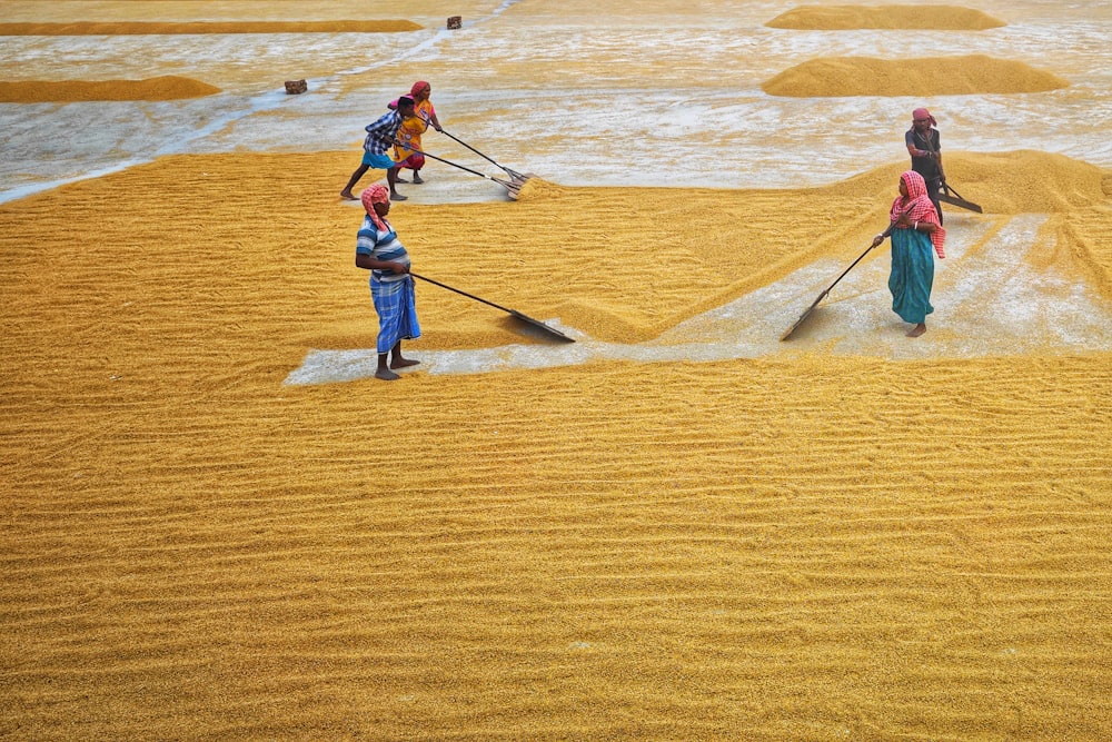 a group of people standing on top of a field