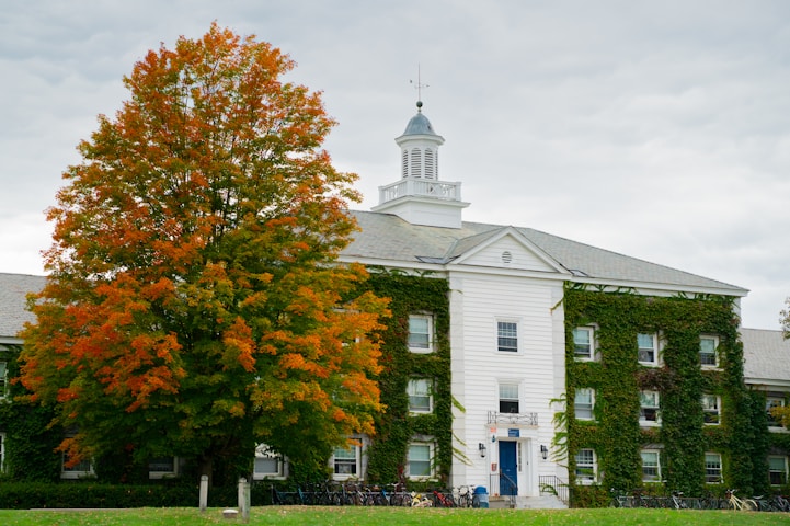 Western New England University