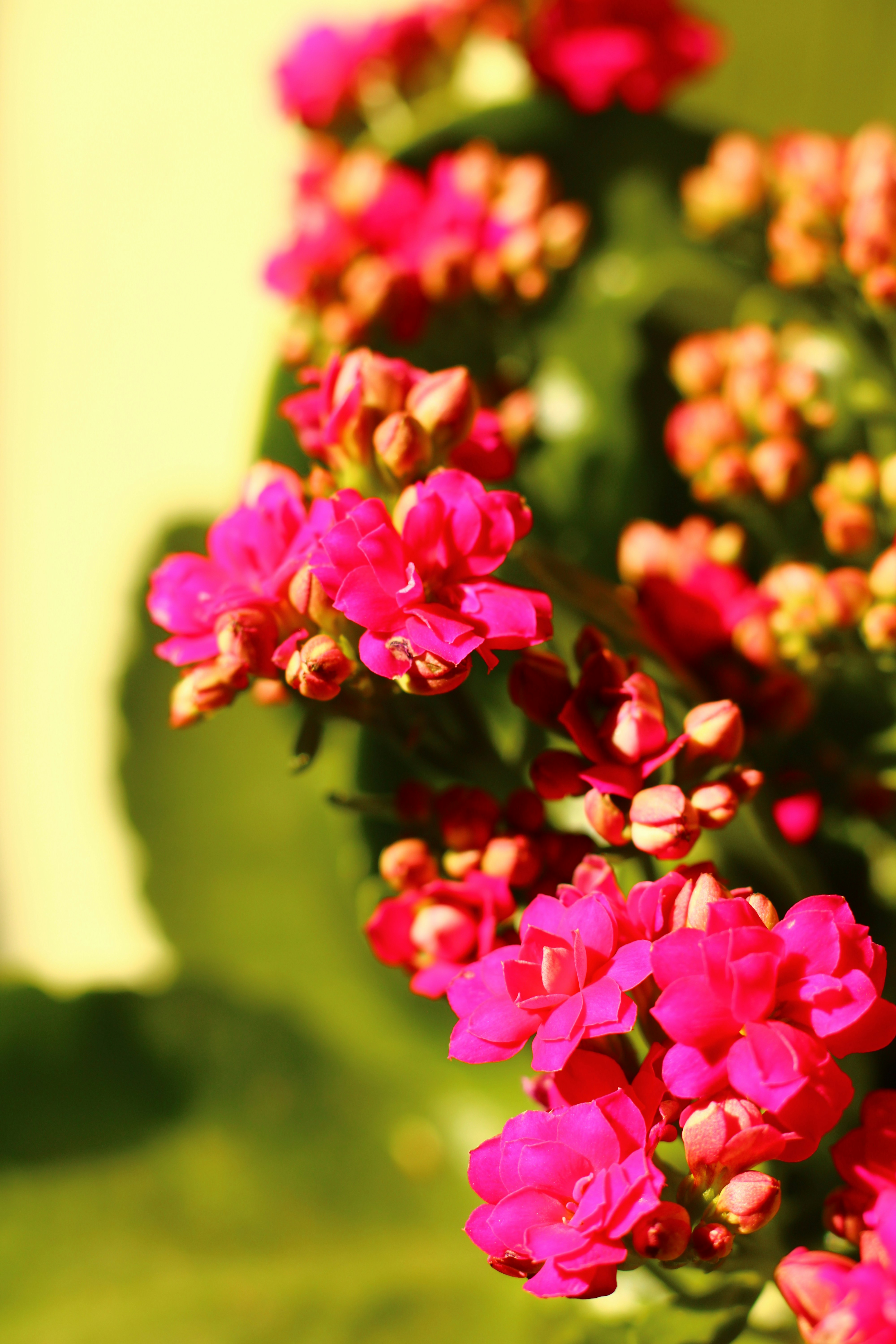 Photo by iamblondfox