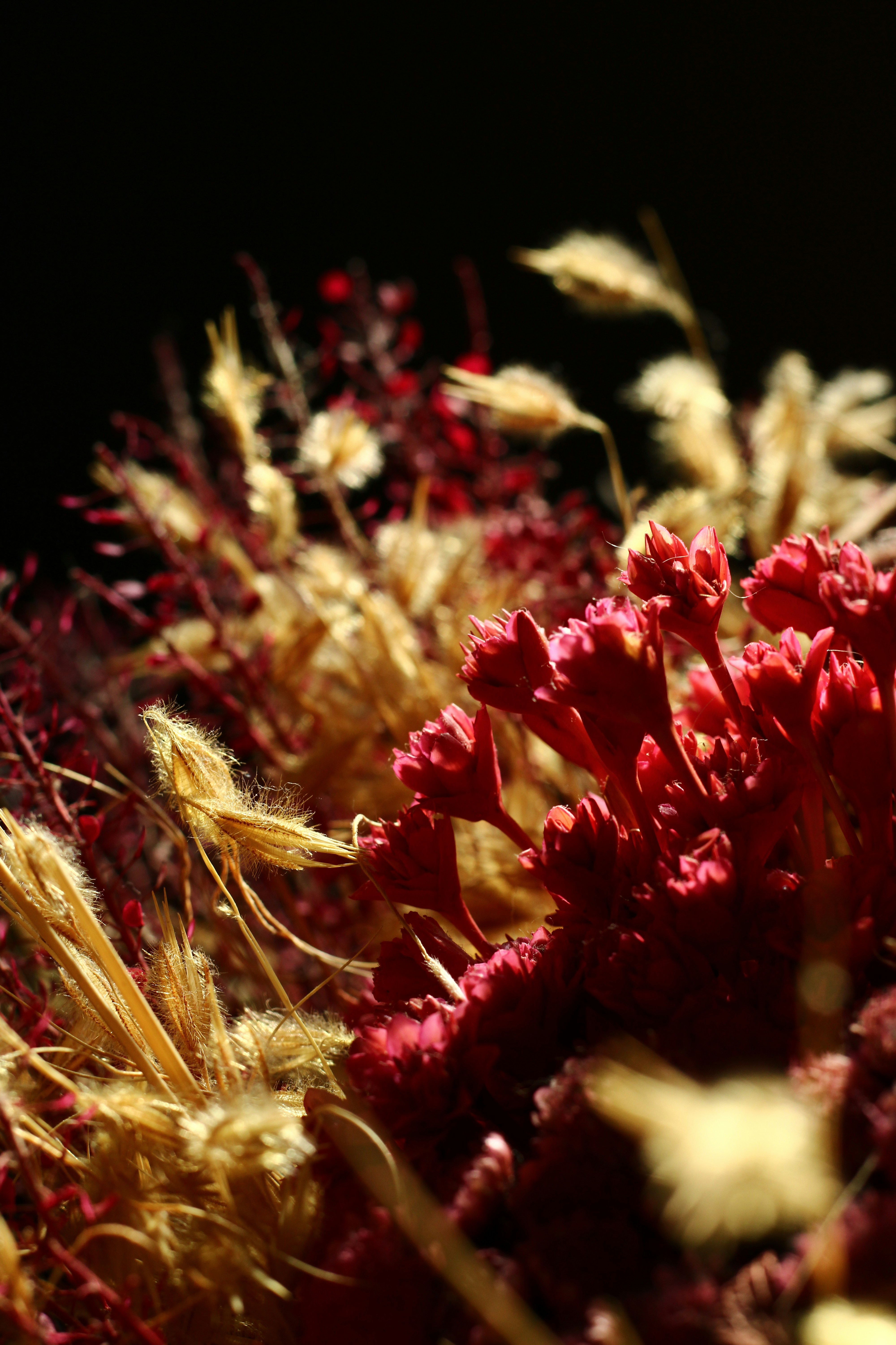 Photo by iamblondfox