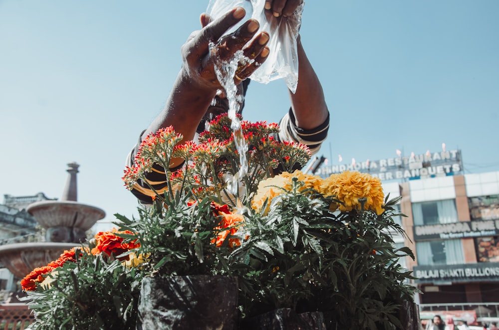 a person is pouring water into a flower pot