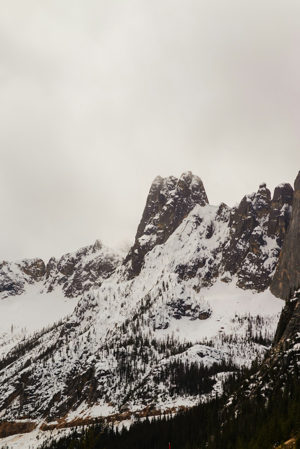 a snow covered mountain range with a few trees