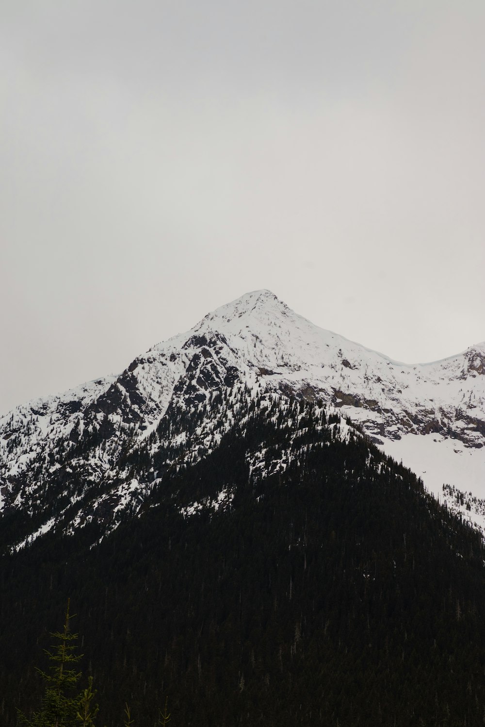 ein schneebedeckter Berg mit Bäumen im Vordergrund