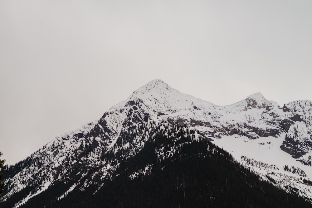 a snow covered mountain with trees in the foreground