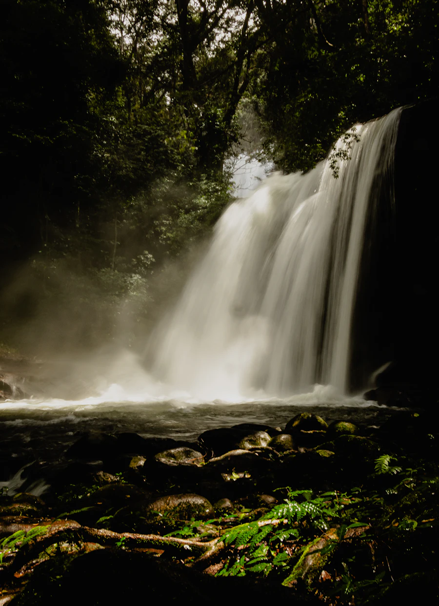 Waterfall in a Tanzanian forest