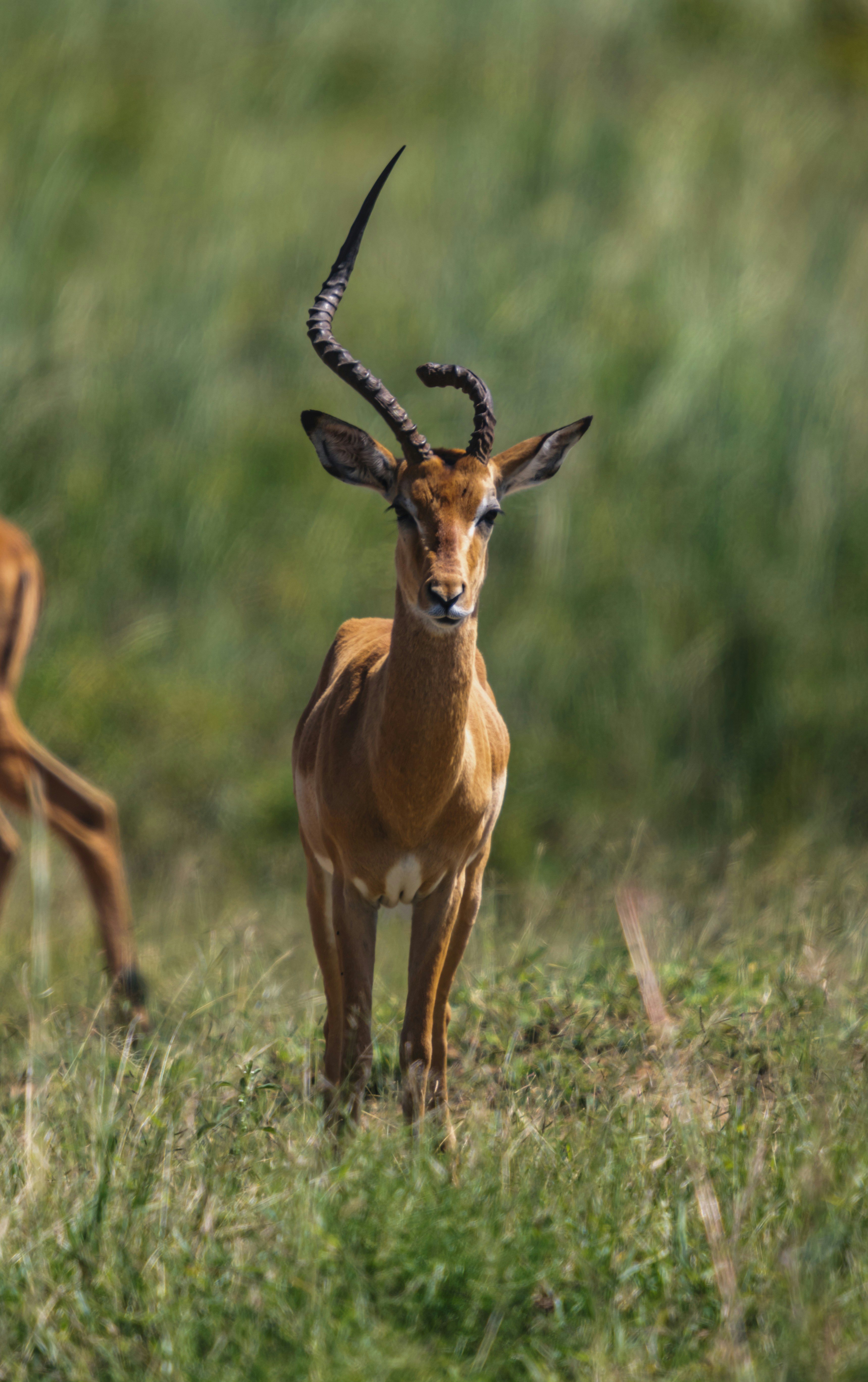 Photo by starkie_pics