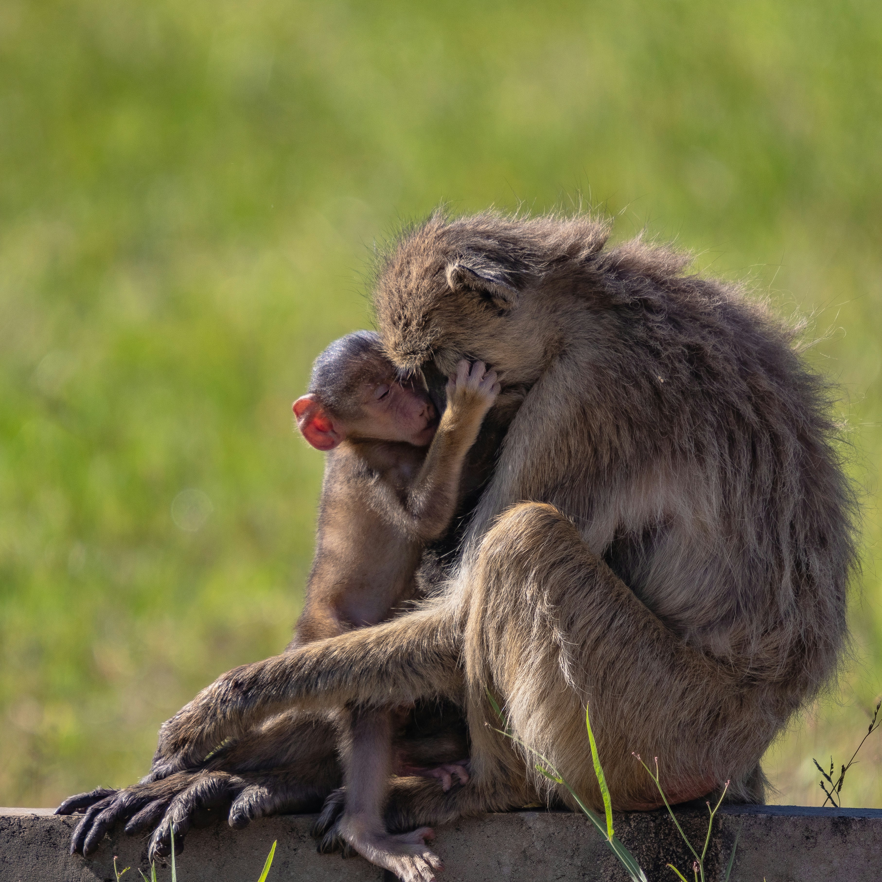 young mother