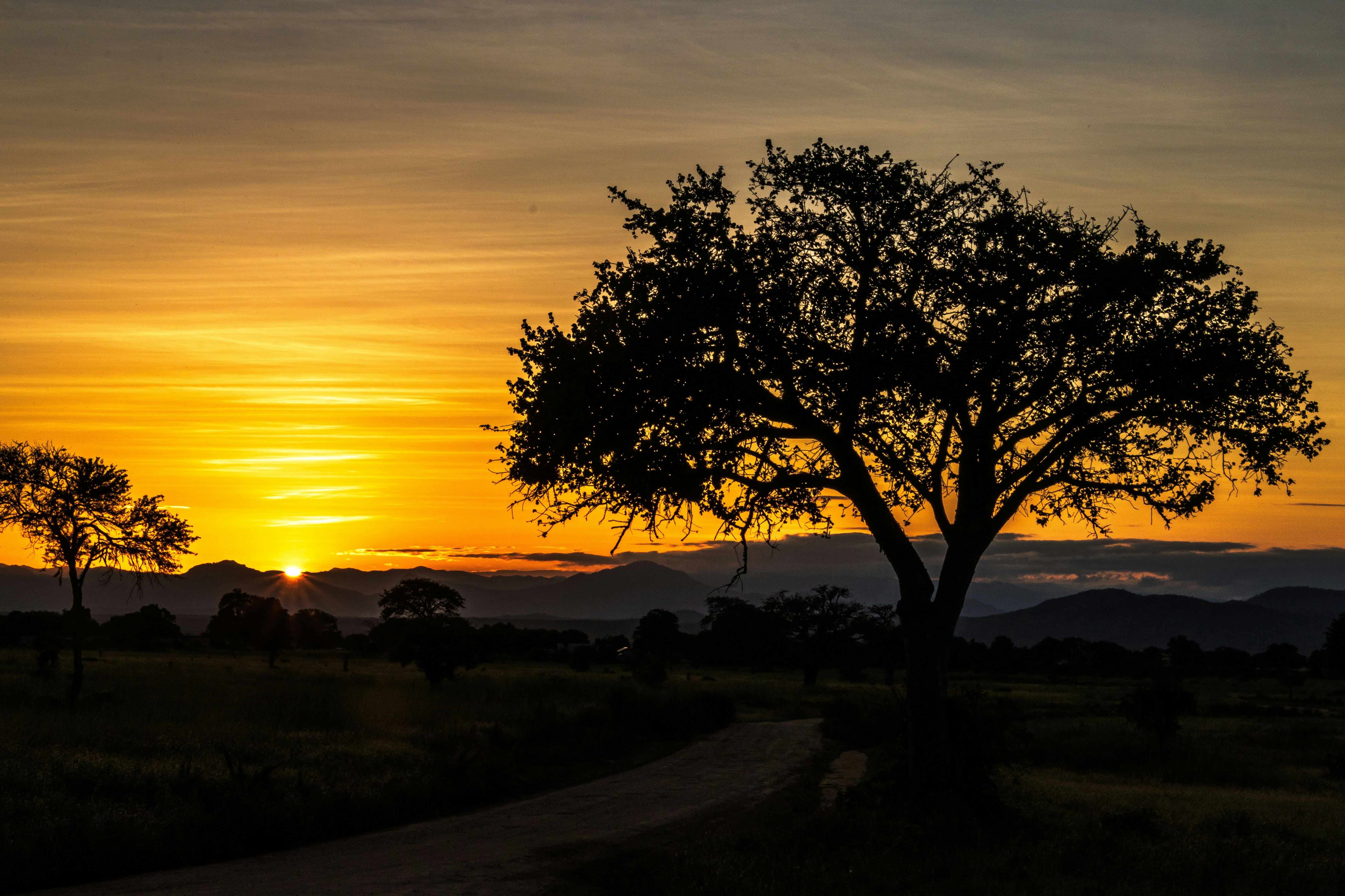 Photo by starkie_pics