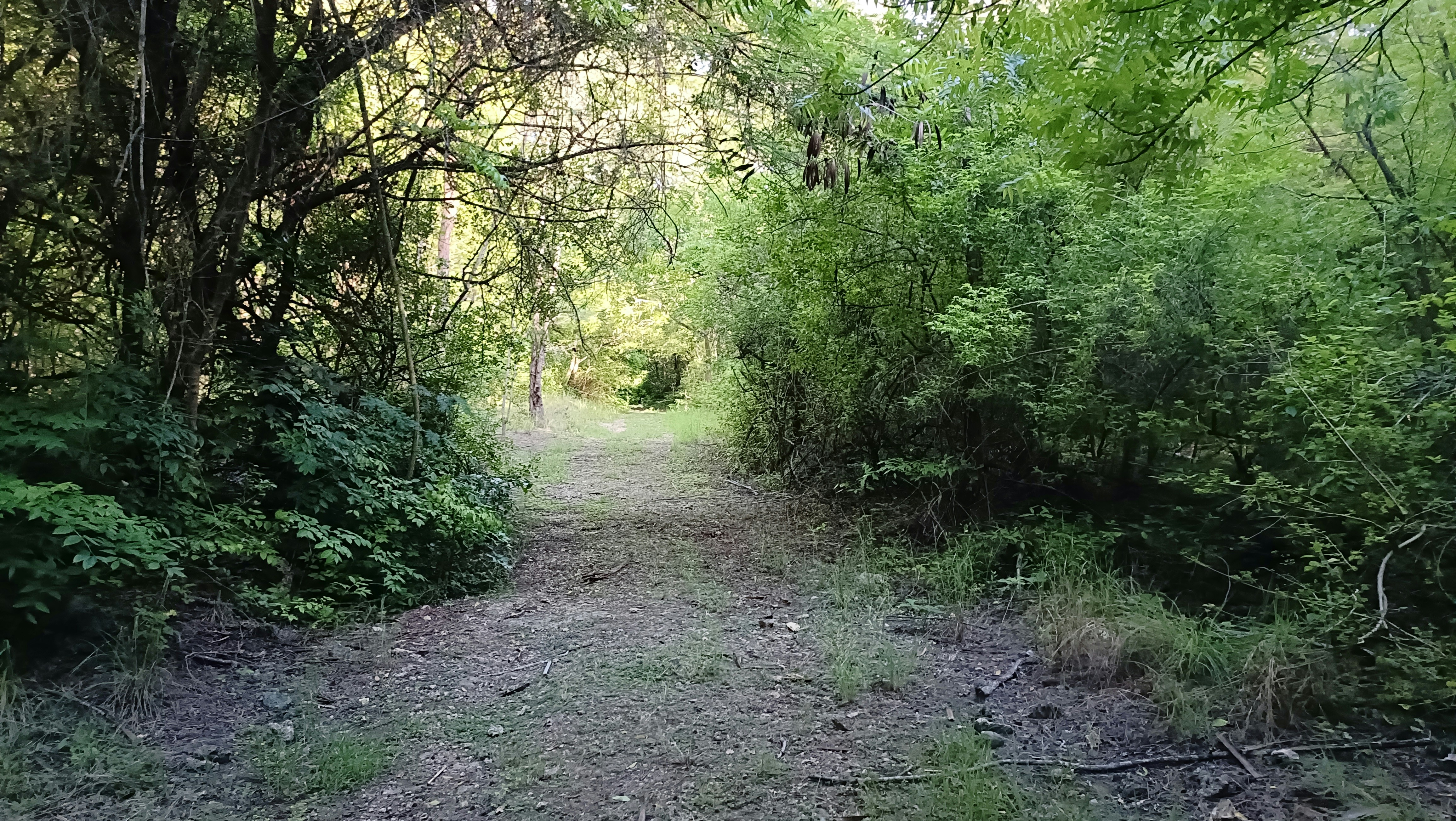 Photo by roselineserem