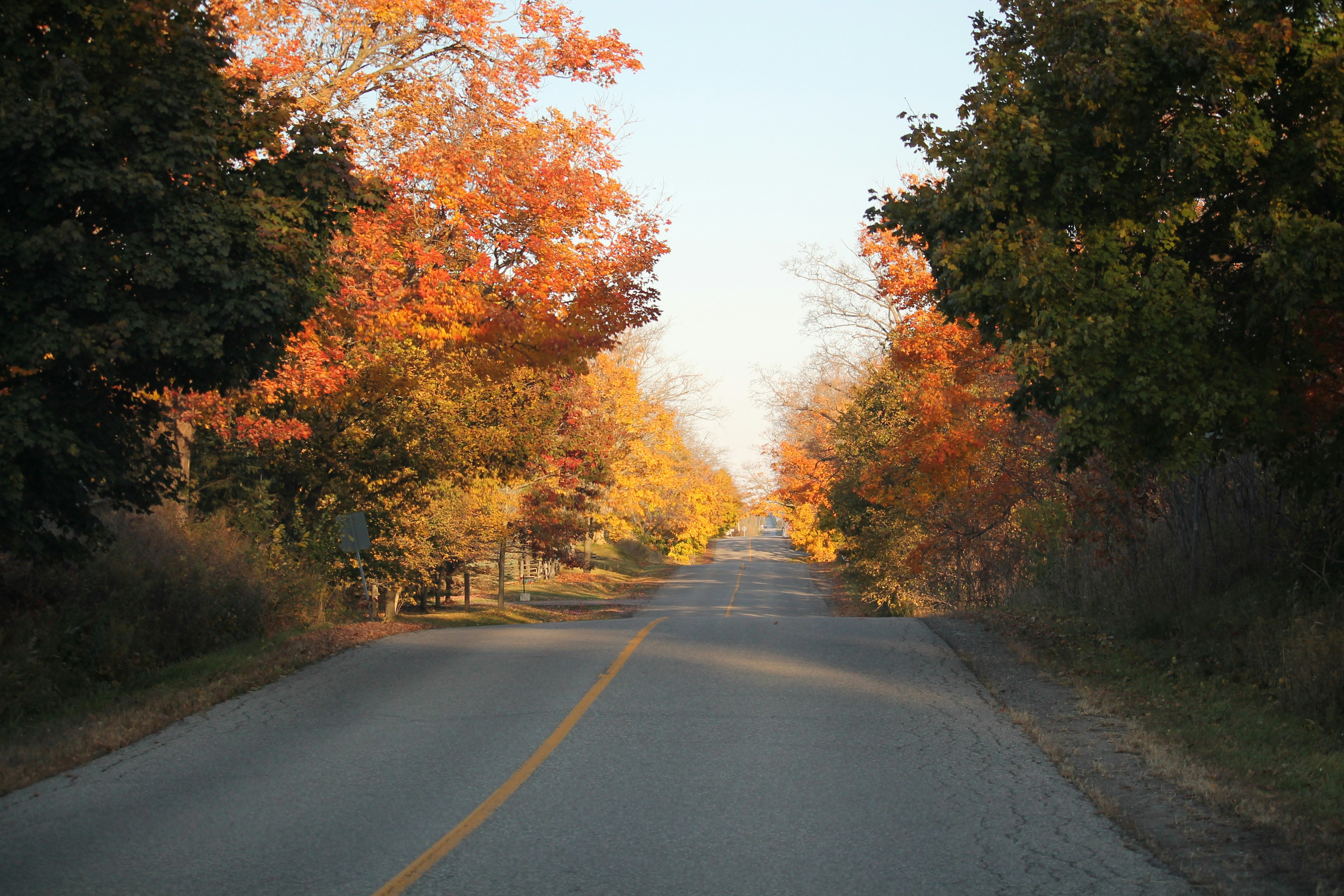an empty road surrounded by trees in the fall