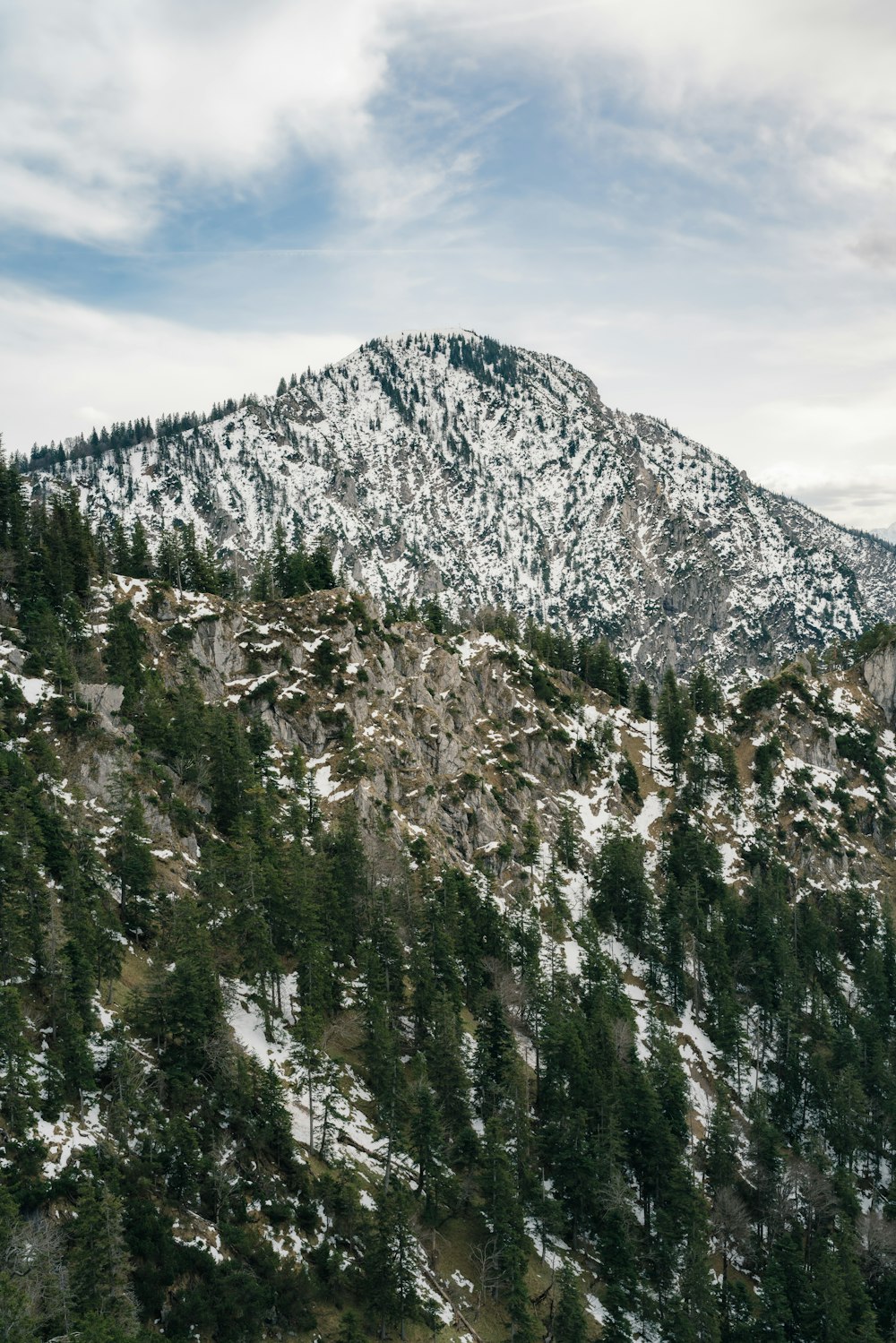 a mountain covered in snow and trees under a cloudy sky