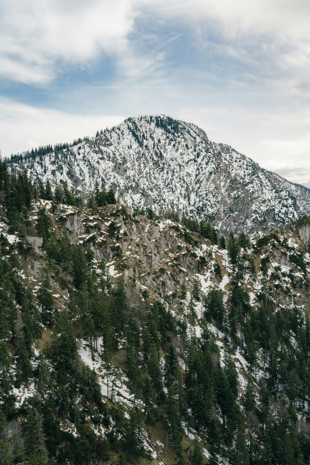 uma montanha coberta de neve e árvores sob um céu nublado