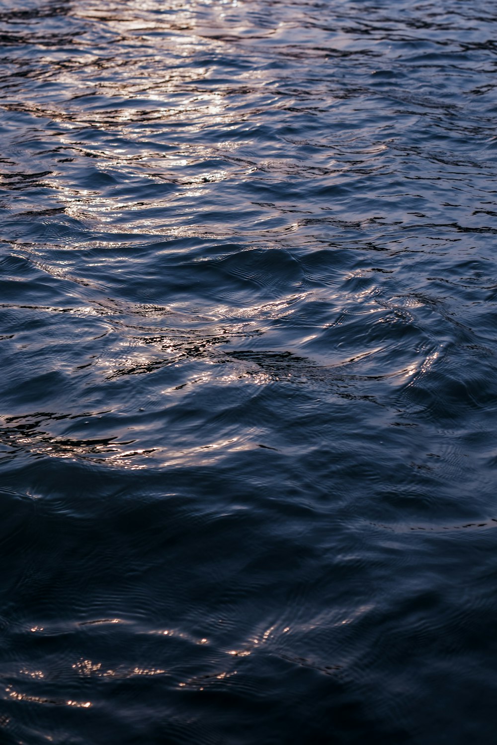 太陽が水面に反射して水面を照らします