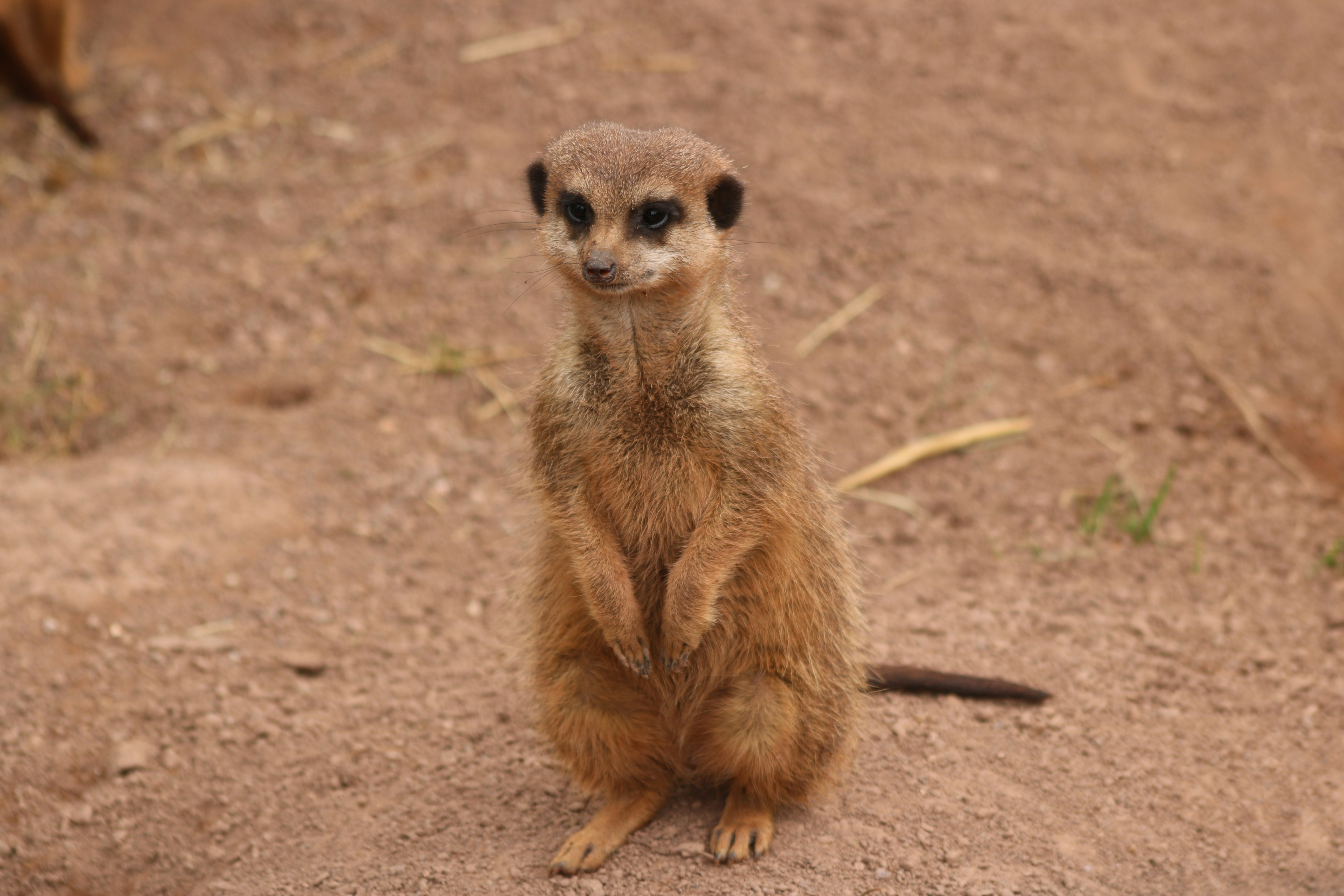 Photo by hannahruthemeyer