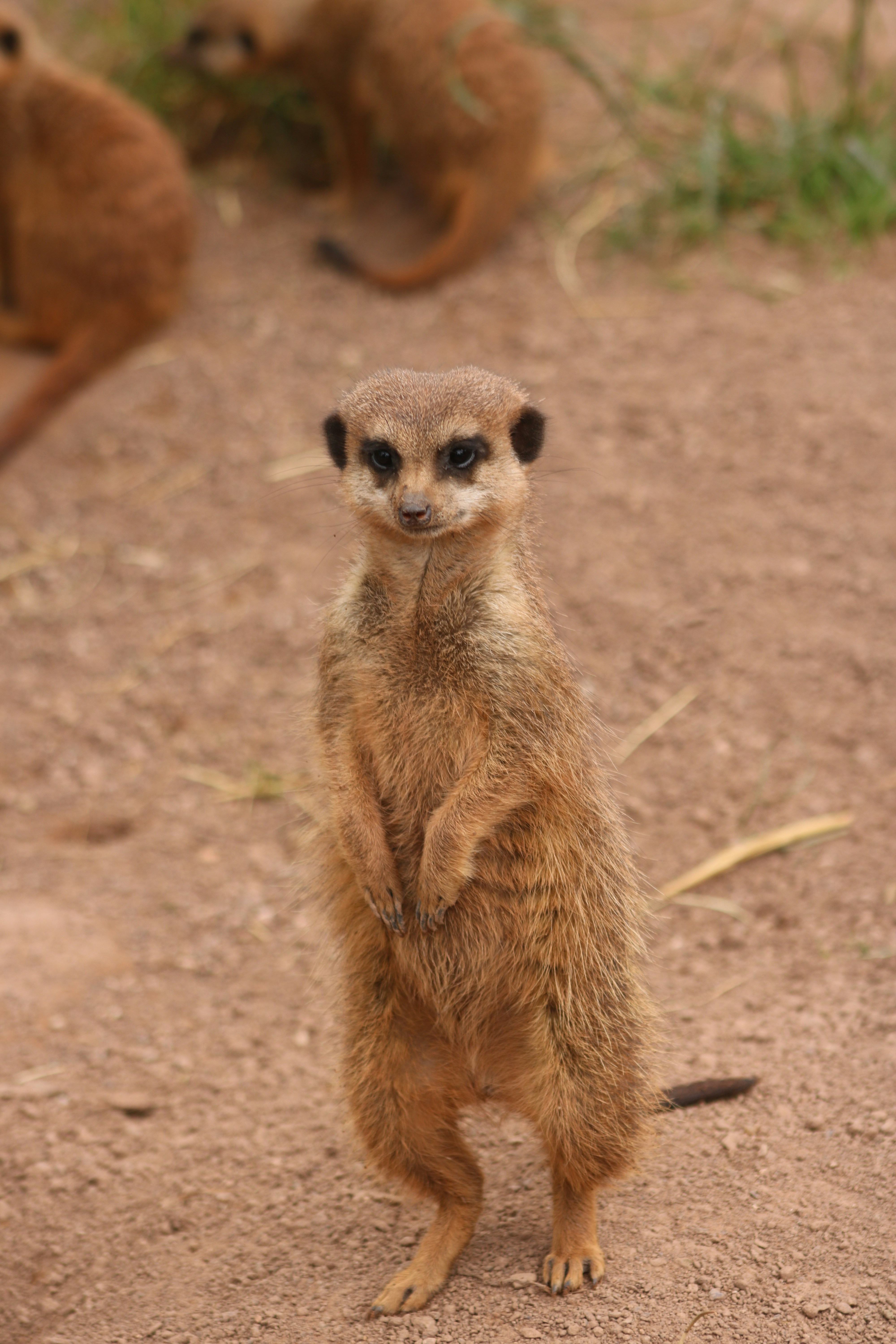 Photo by hannahruthemeyer