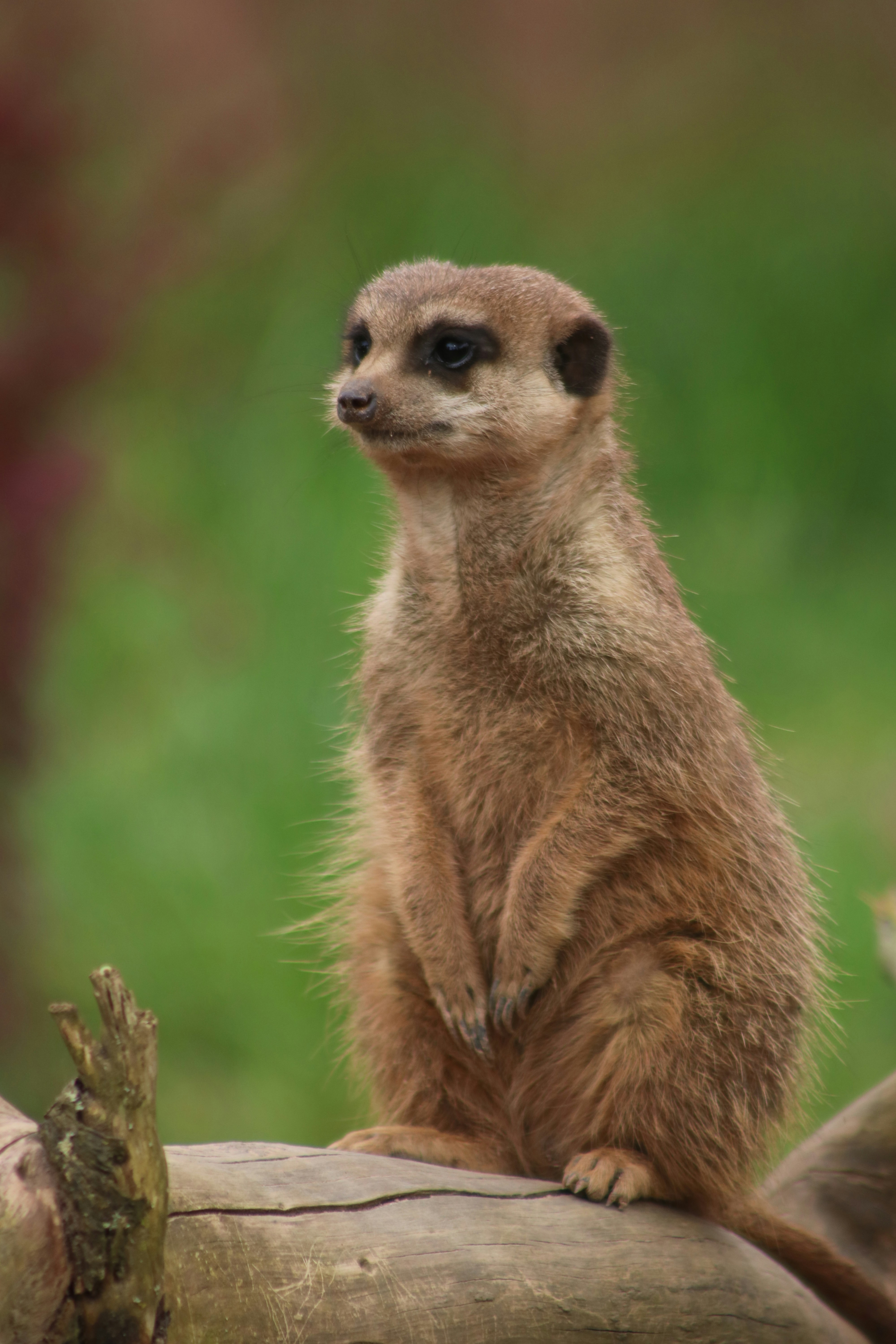 Photo by hannahruthemeyer