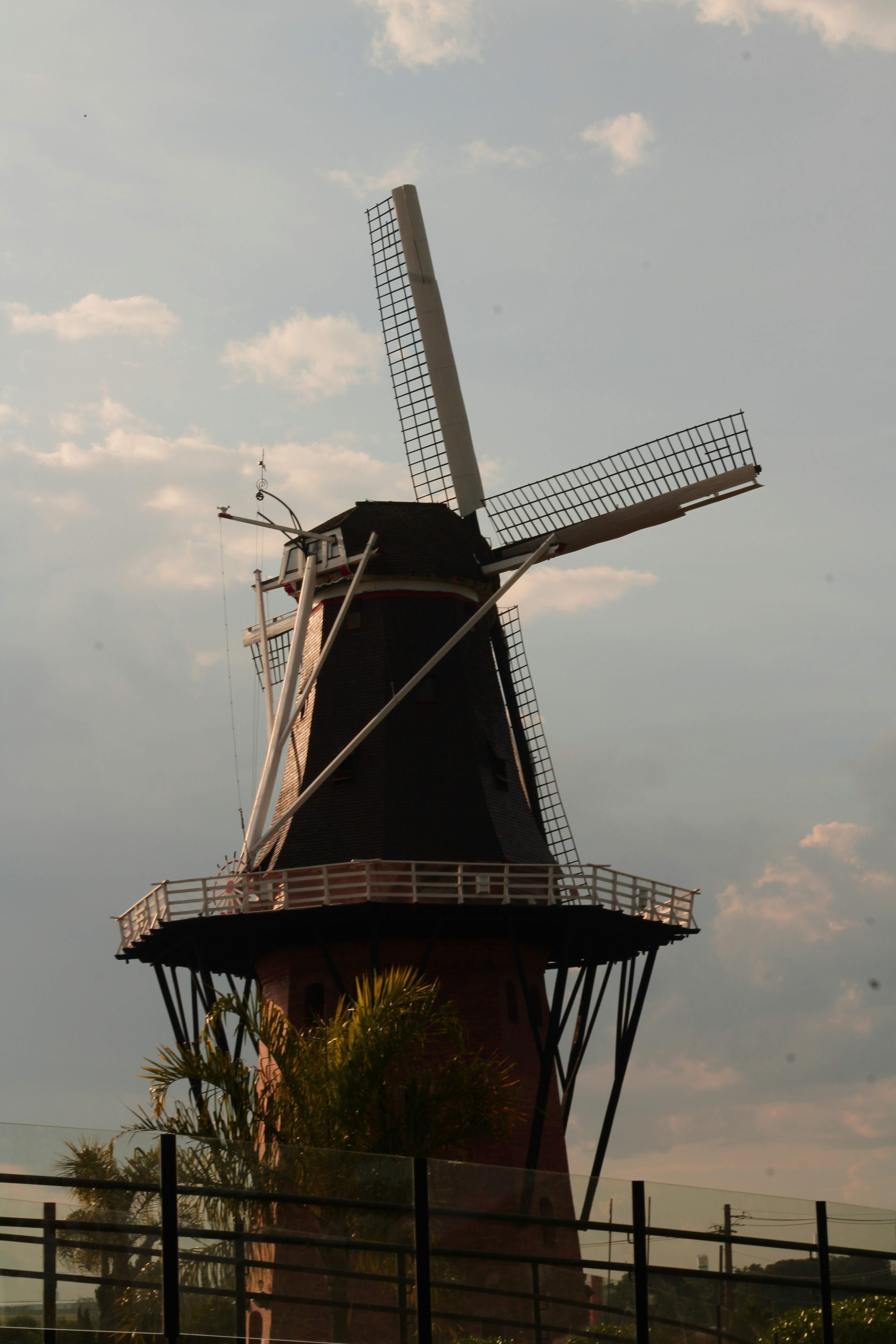 Photo by iamblondfox