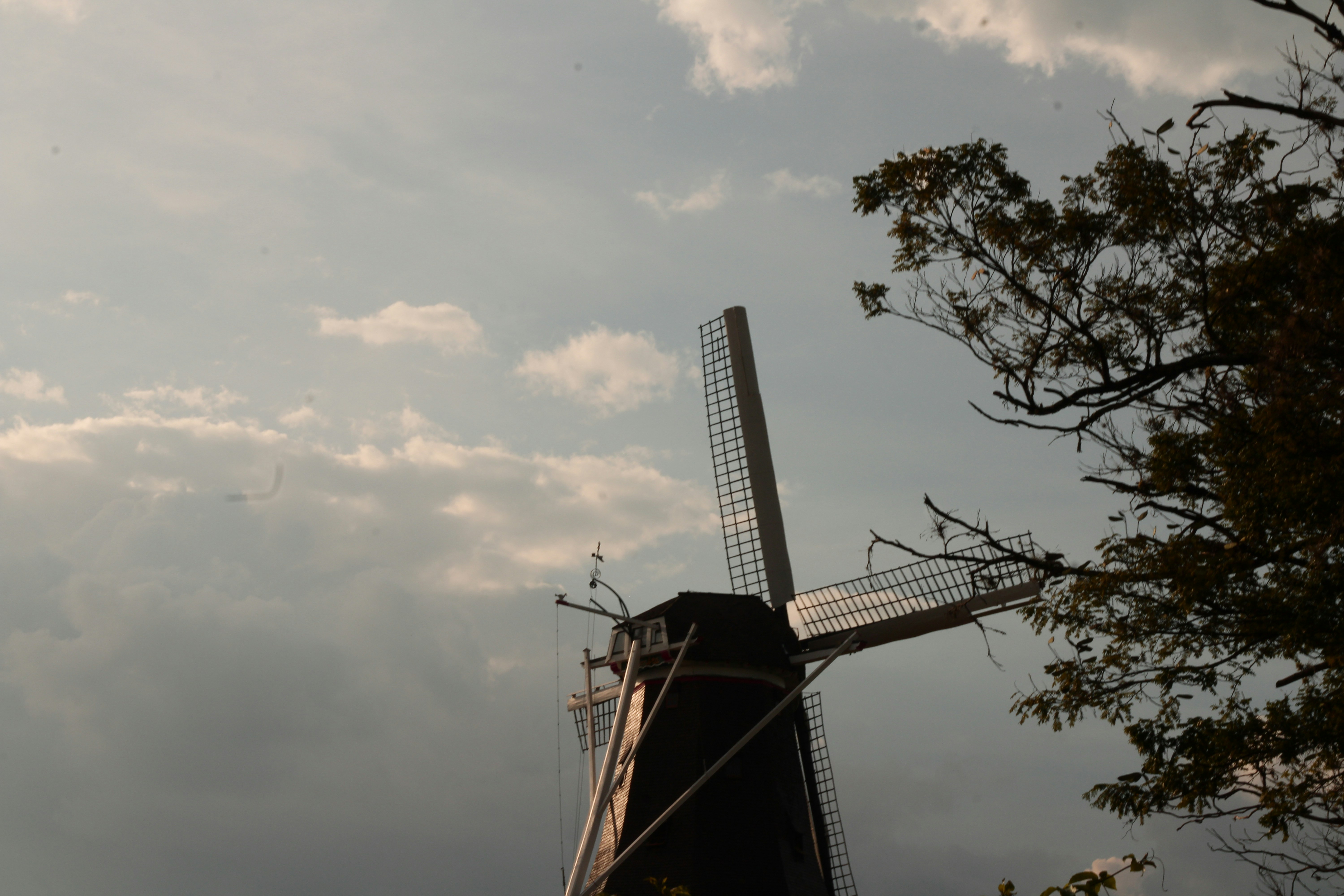 Photo by iamblondfox