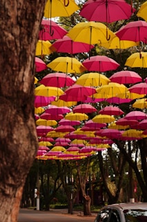 a bunch of umbrellas that are hanging from a tree