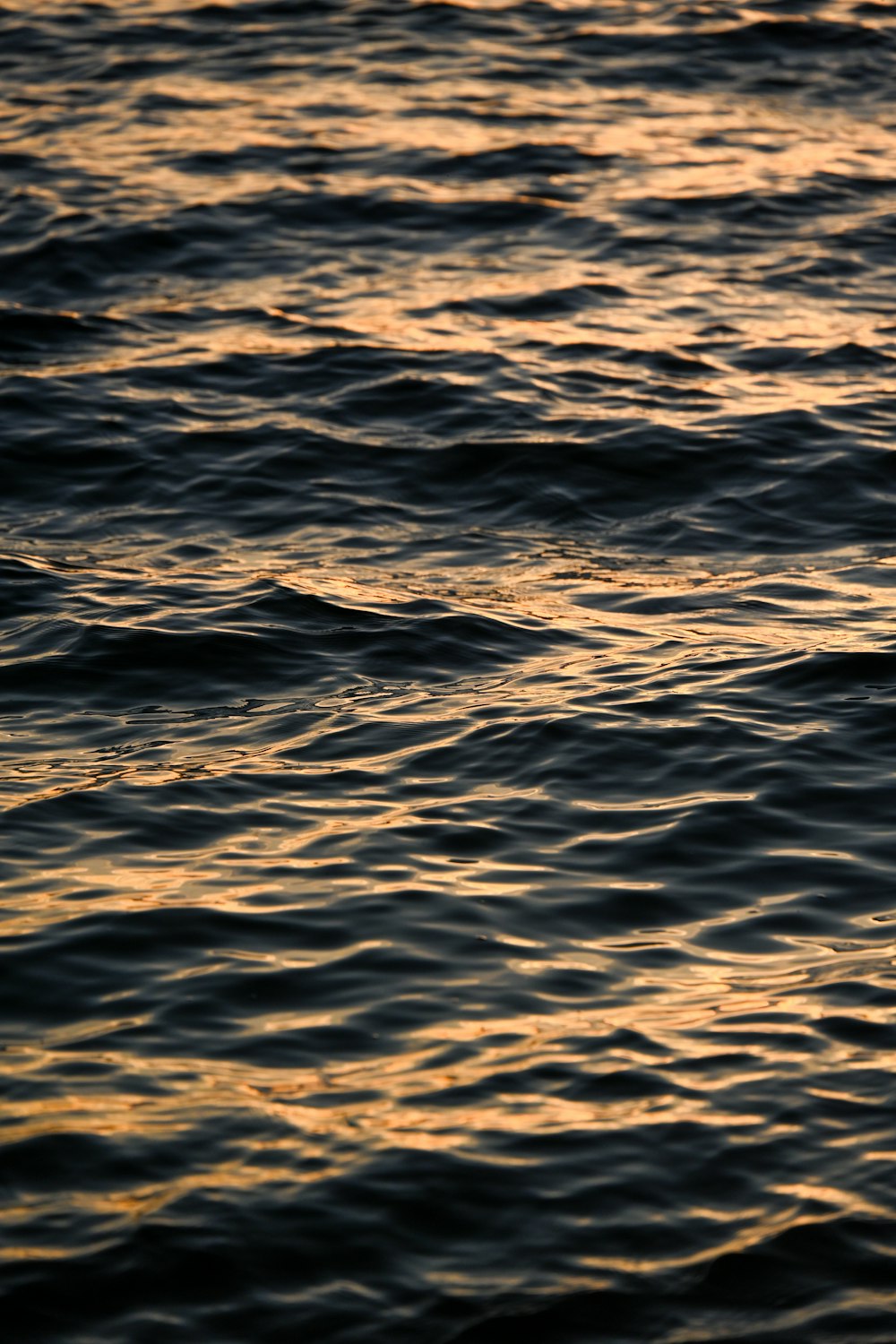 a large body of water with a bird flying over it