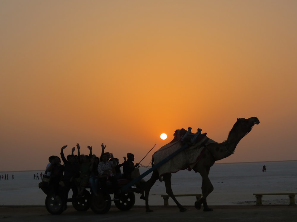 a group of people riding on the back of a camel