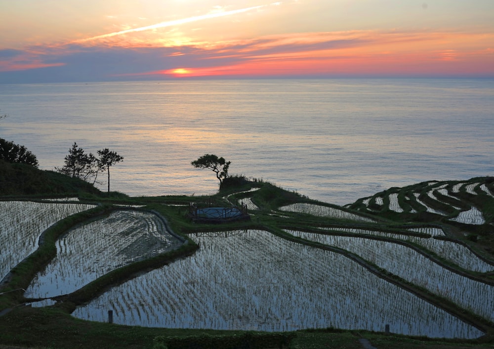 the sun is setting over a rice field by the ocean