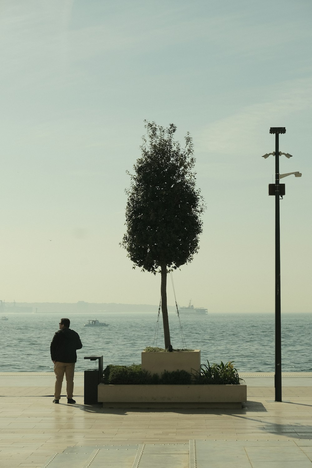 a man standing next to a tree near the ocean