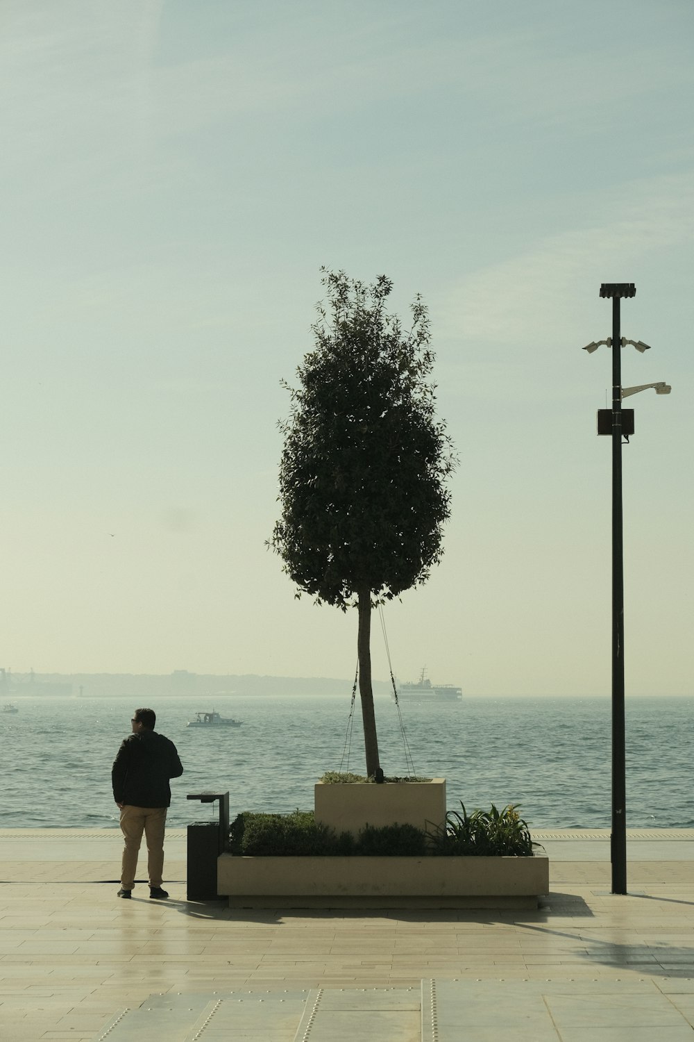 Un homme debout à côté d’un arbre près de l’océan