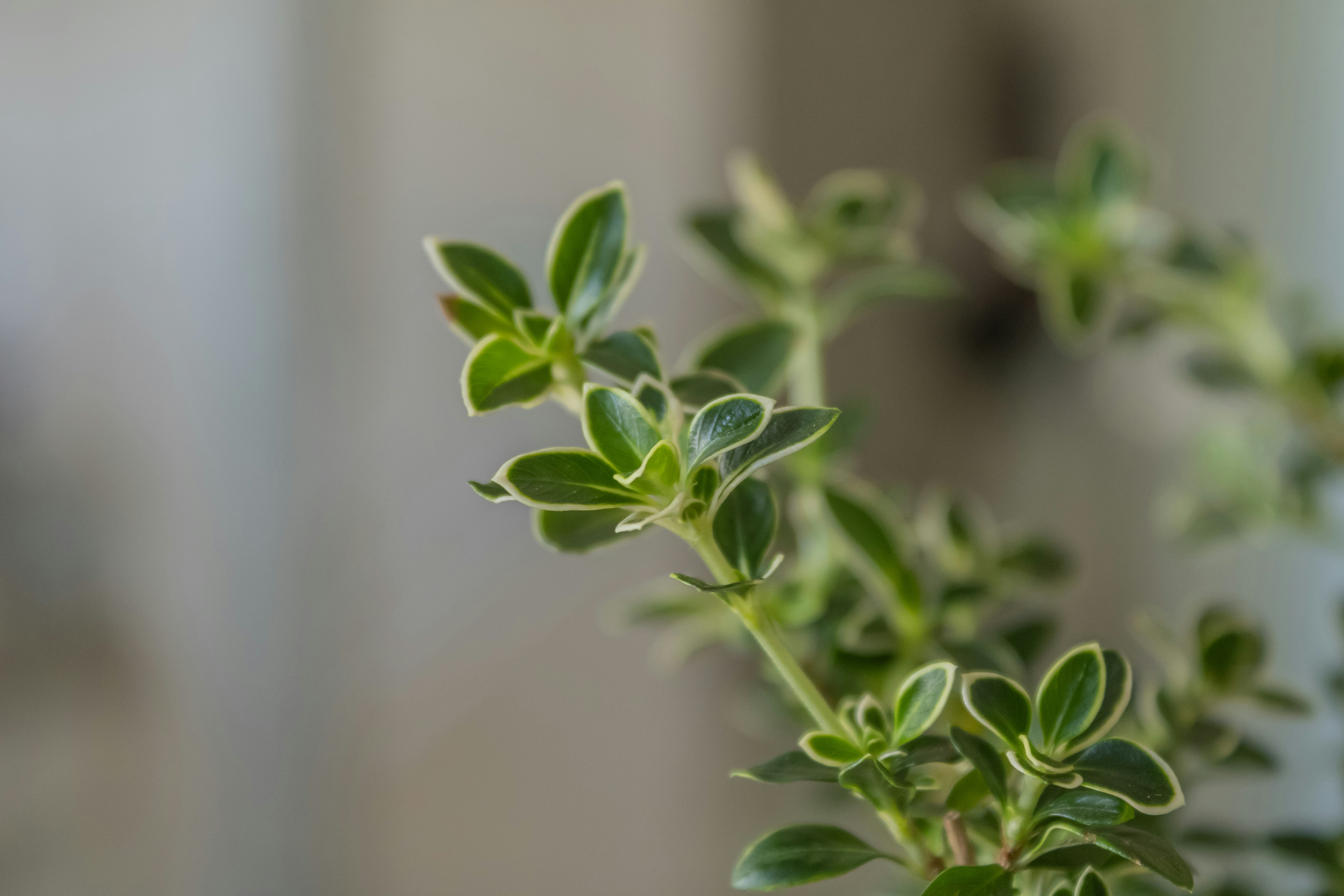 Photo by georgia_vis