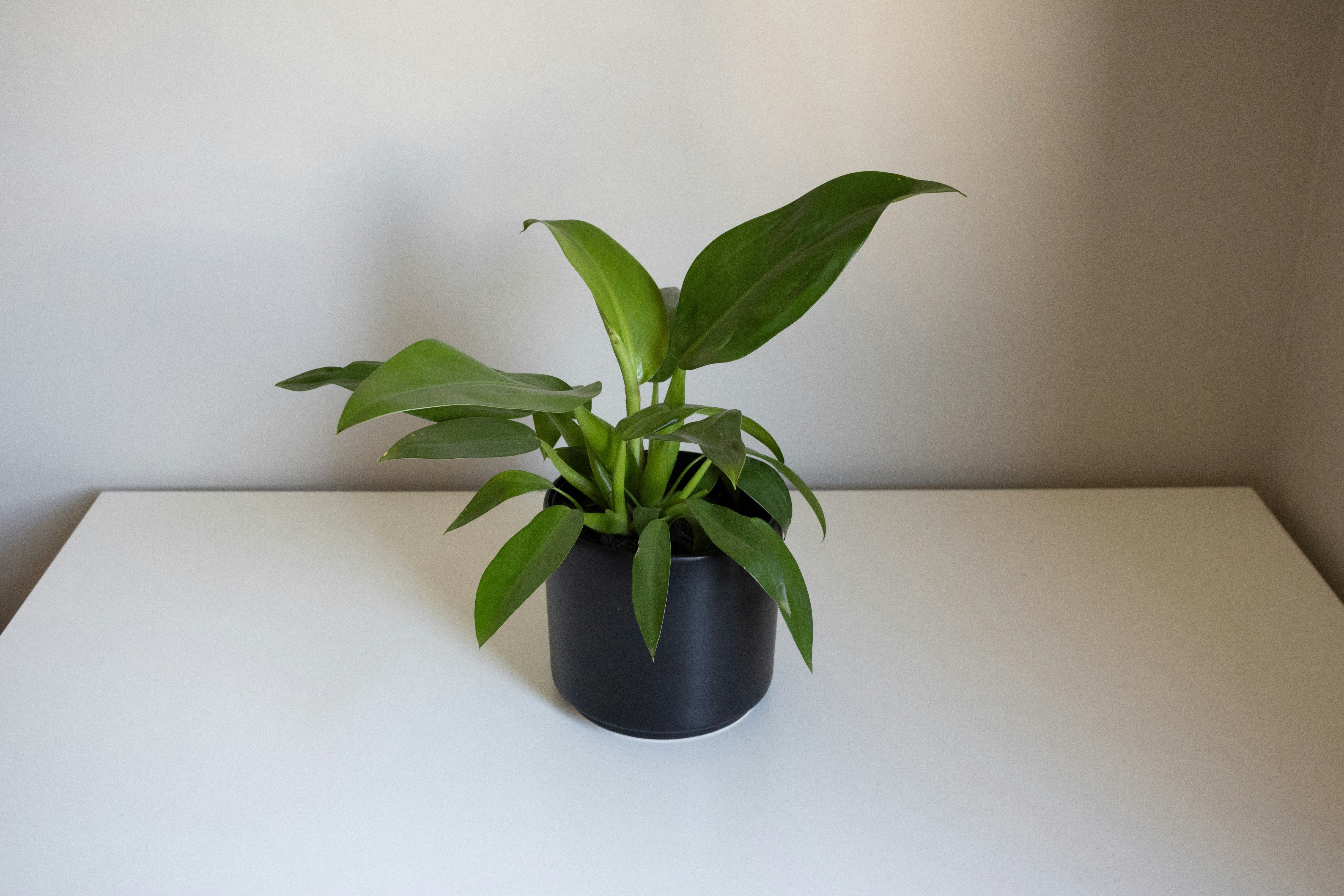 Photo by georgia_vis