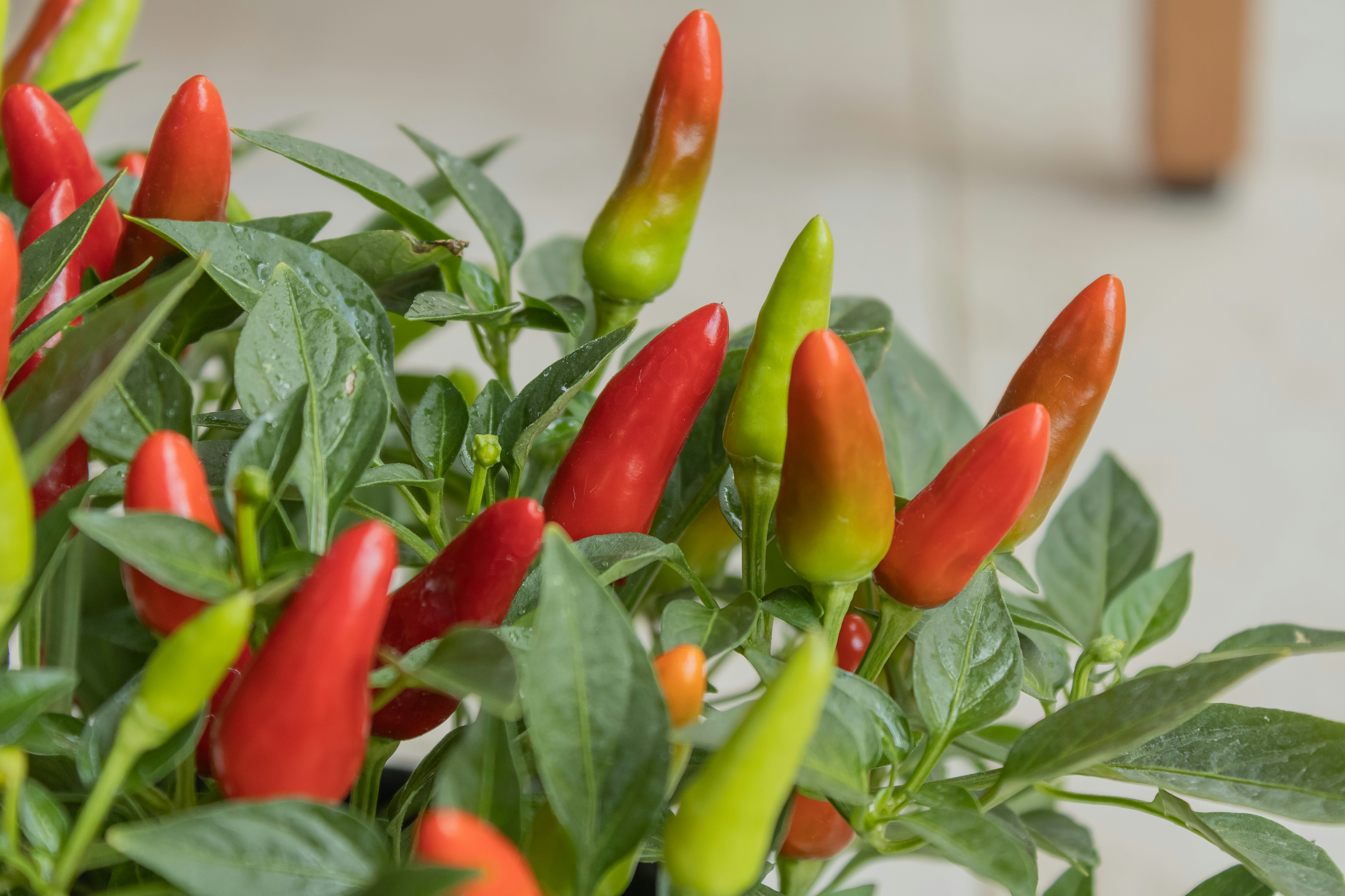 Photo by georgia_vis