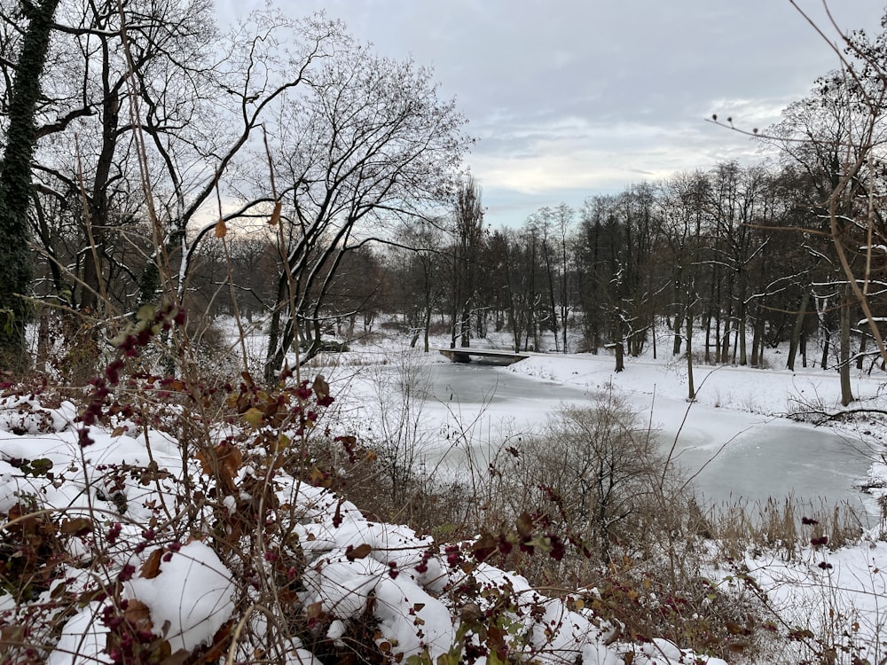 ein Fluss, umgeben von Bäumen und schneebedecktem Boden