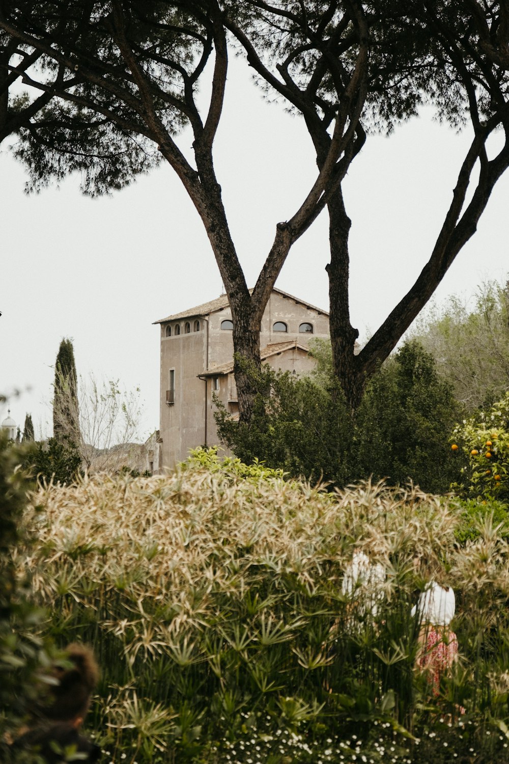 a large building sitting behind some trees and bushes