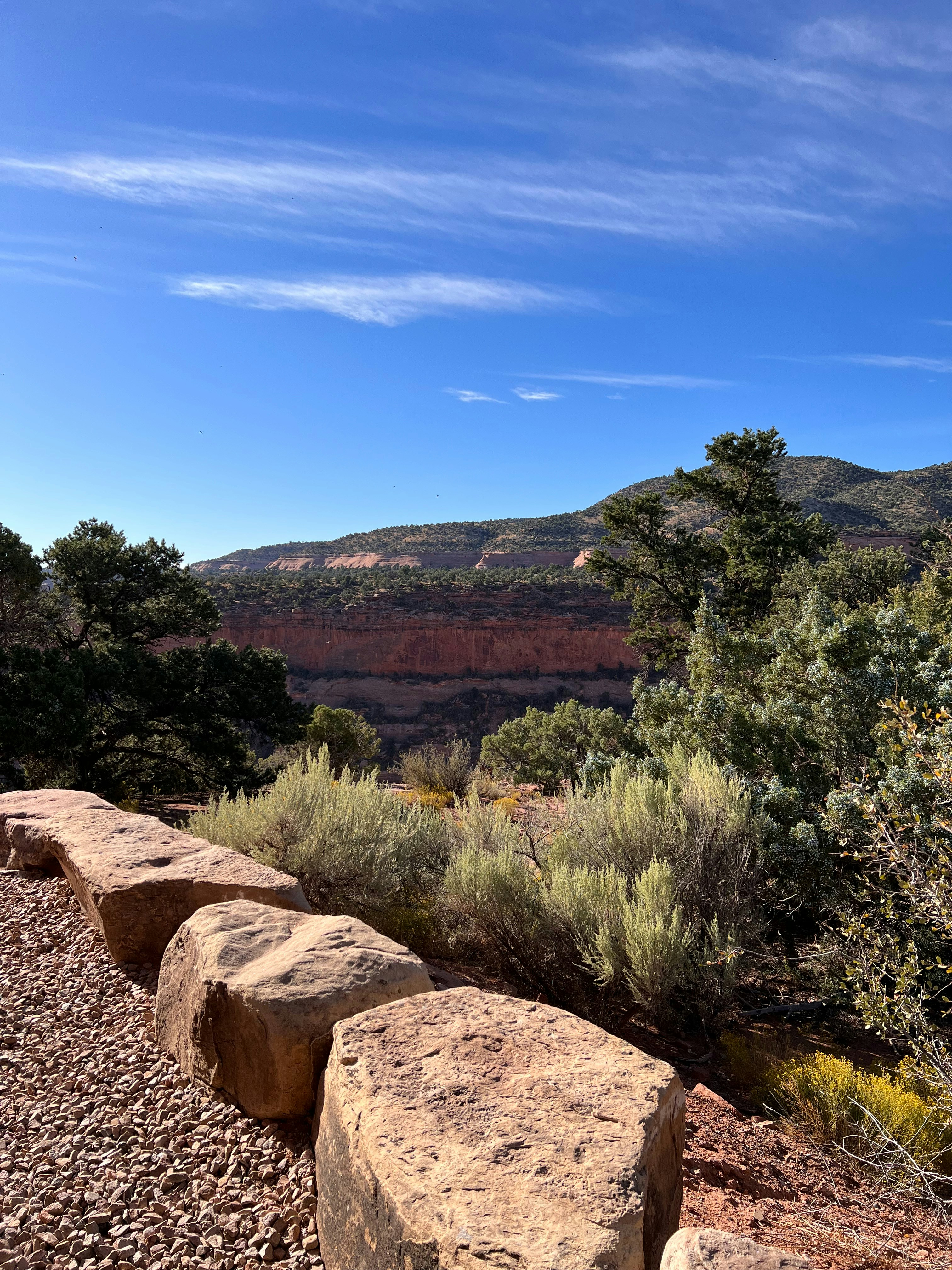 Photo by toni_cappuccio