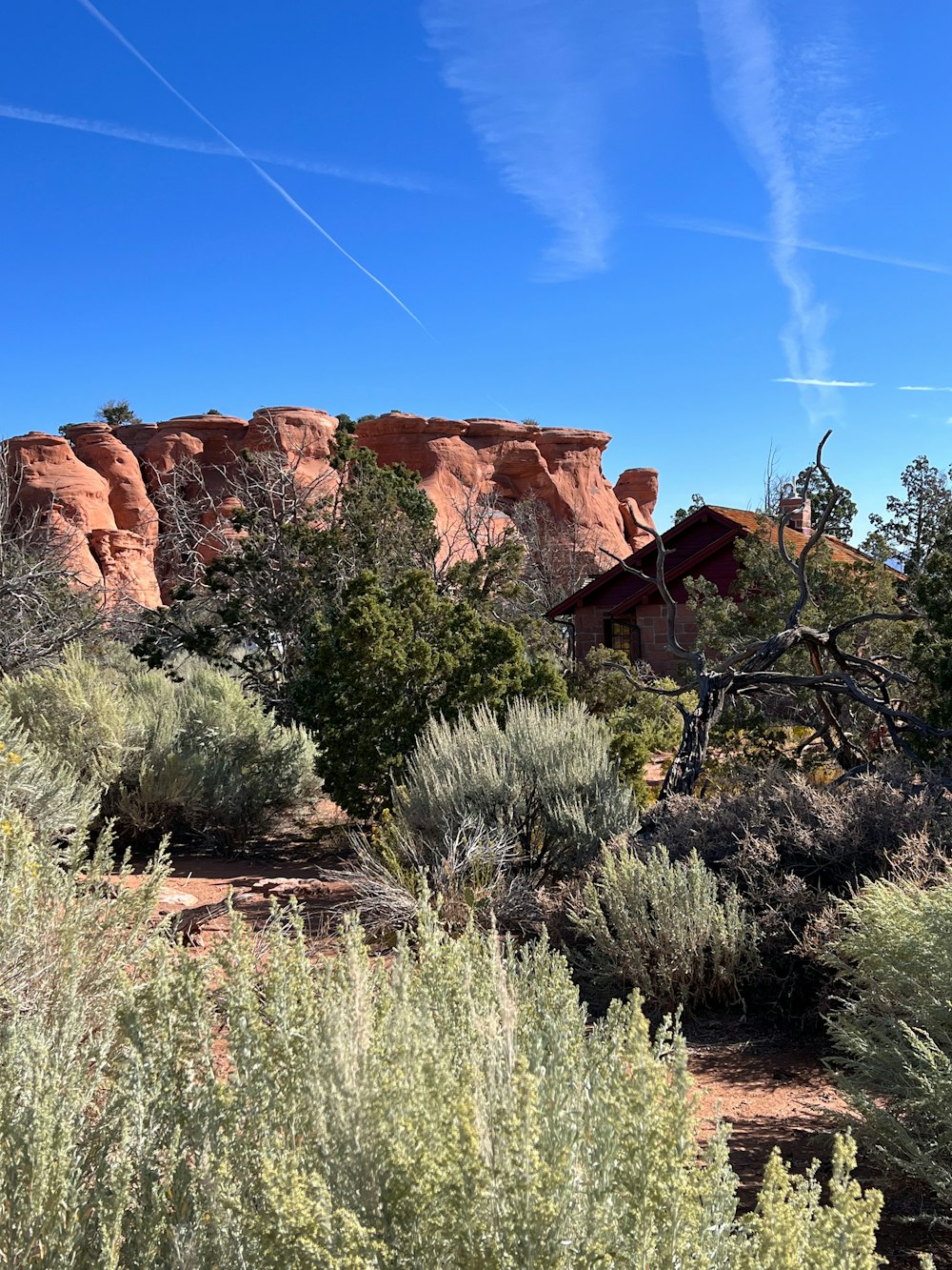 a rocky landscape with trees and bushes in the foreground