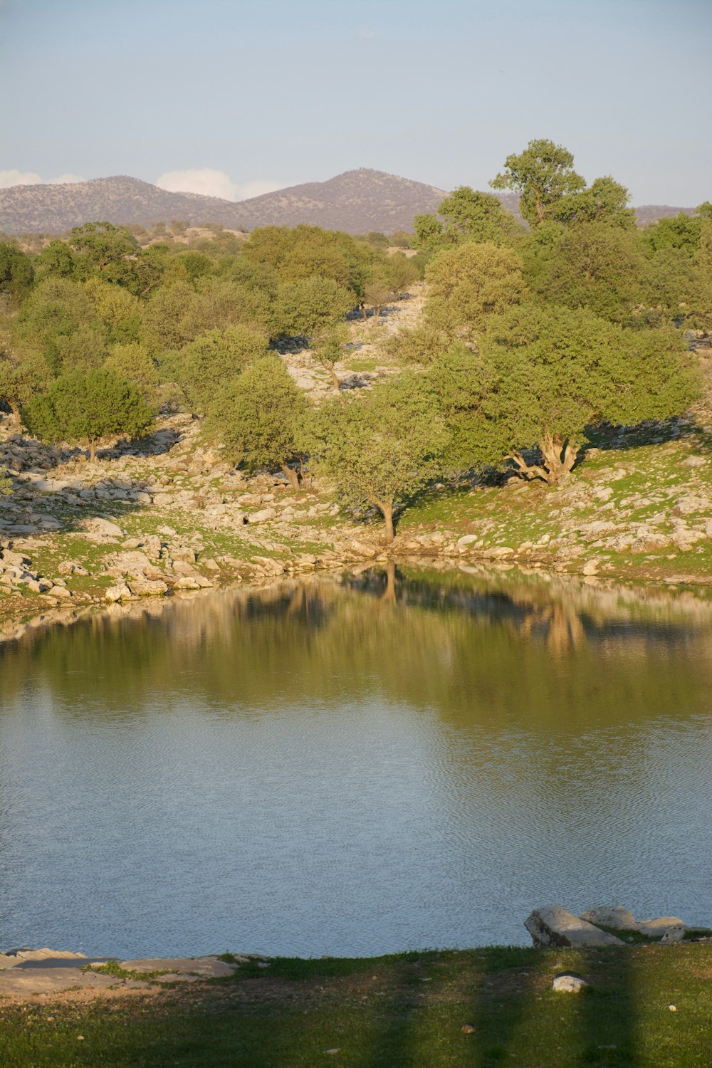 a large body of water surrounded by trees