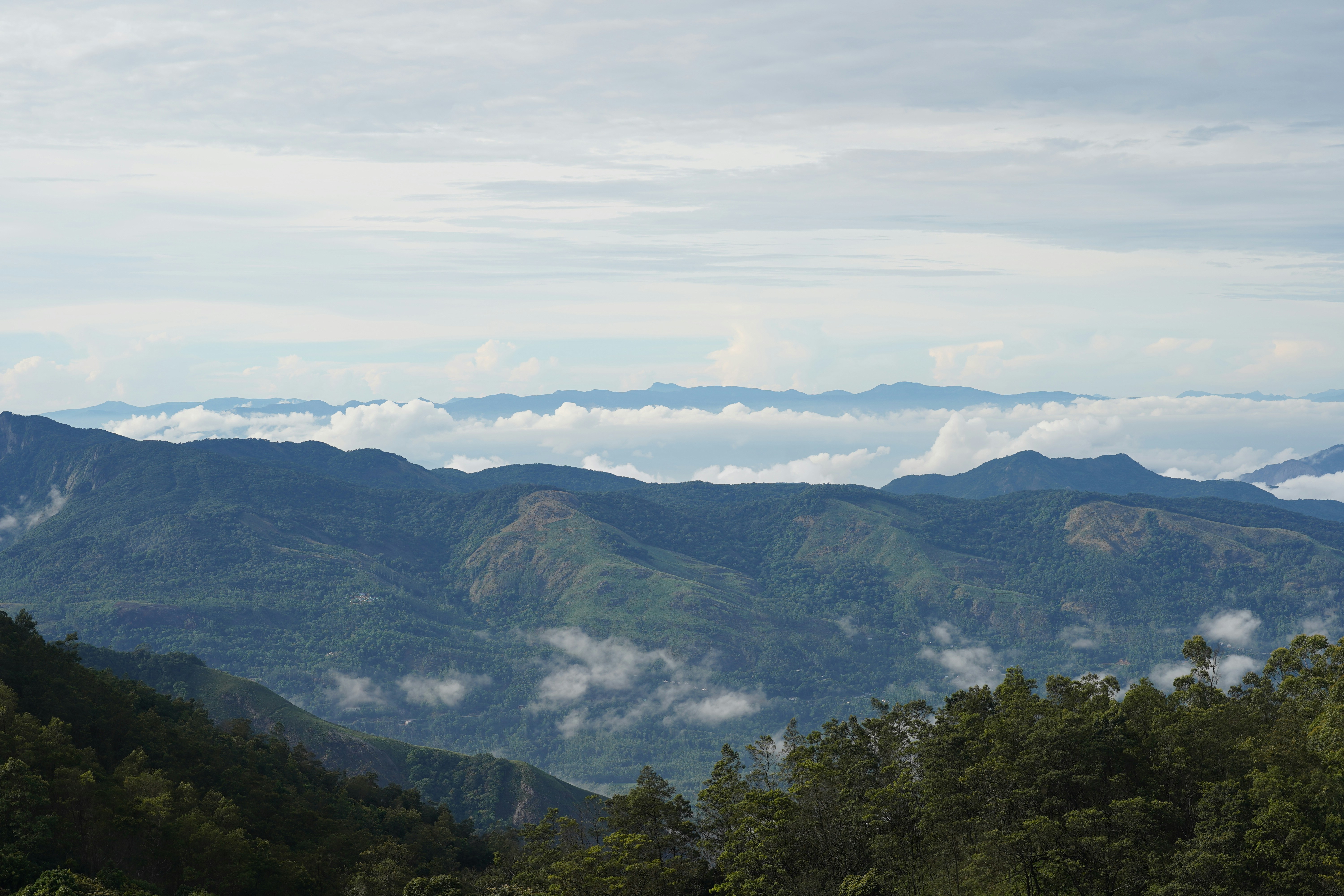 Photo by zero0clockjpeg