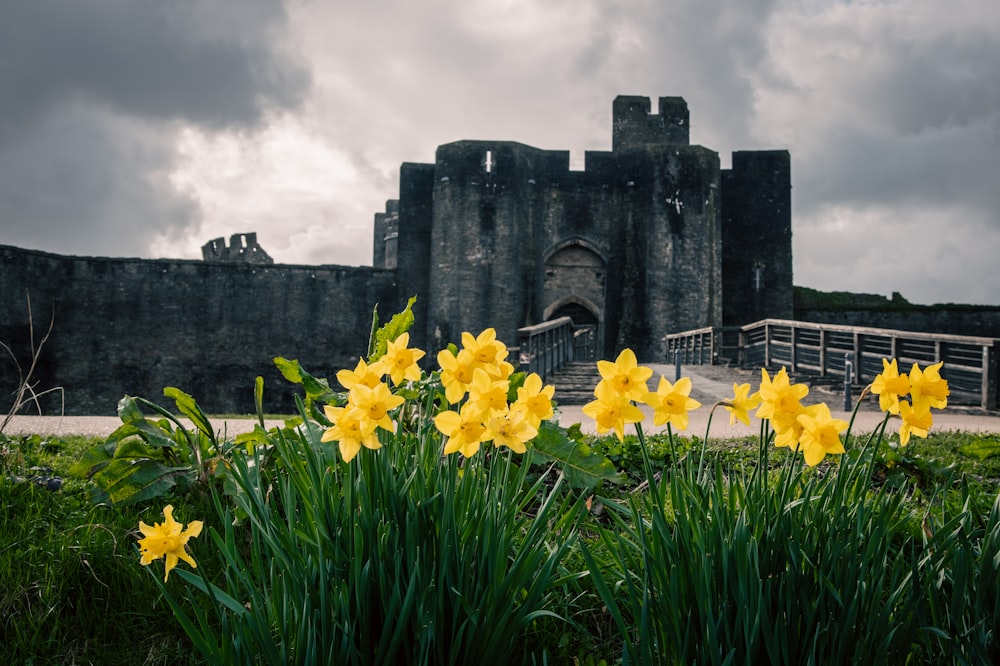 a castle with a bunch of flowers in front of it