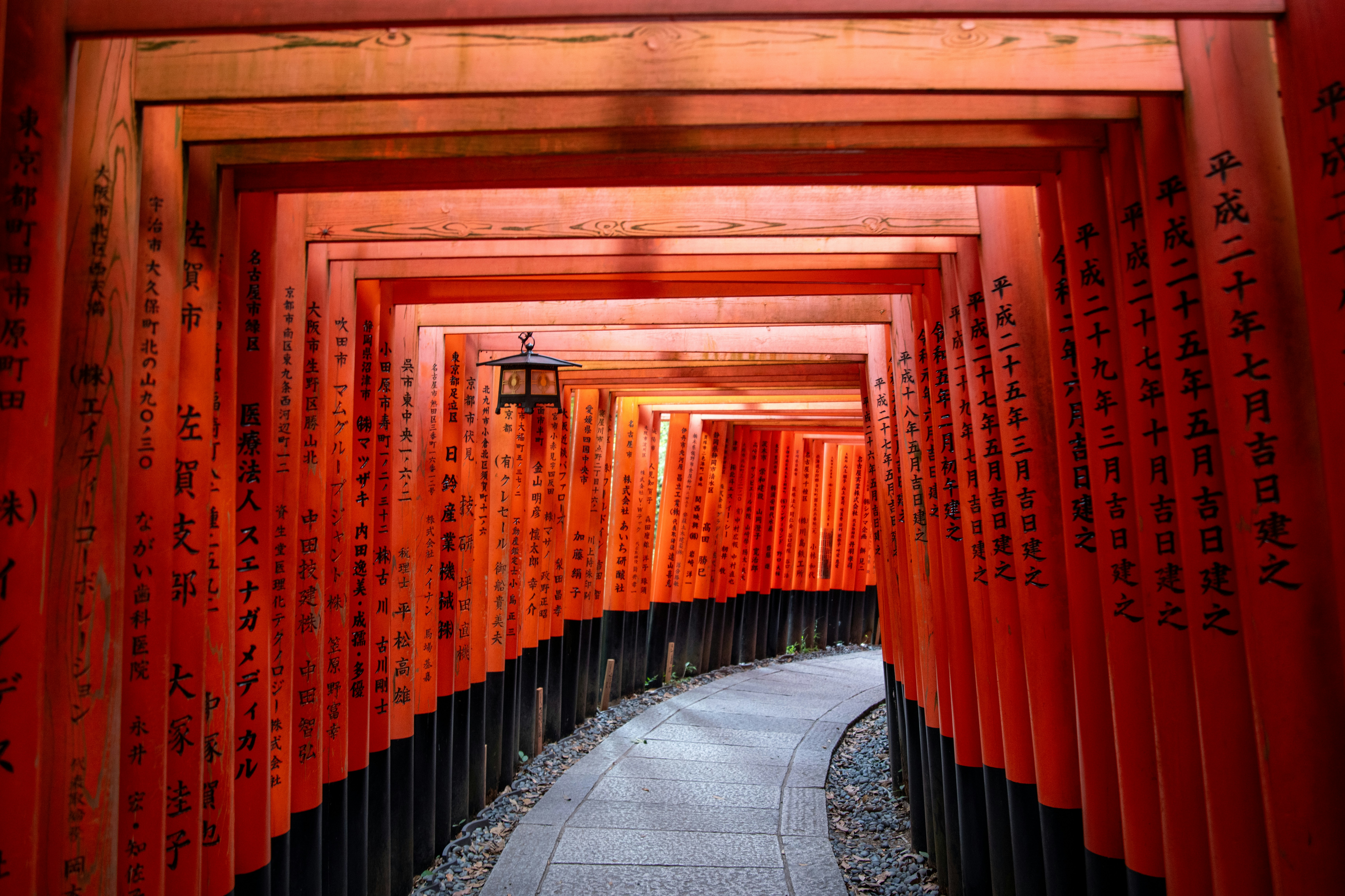 Photo by erikcooperphoto